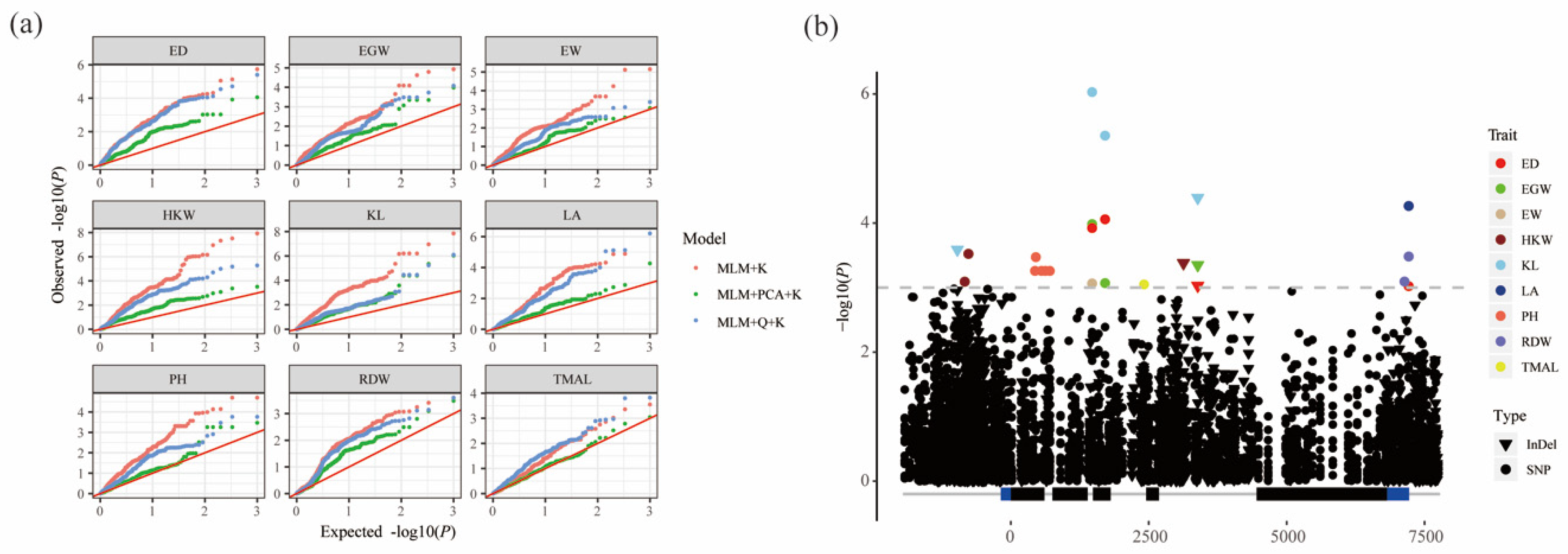 Genes 10 00664 g002