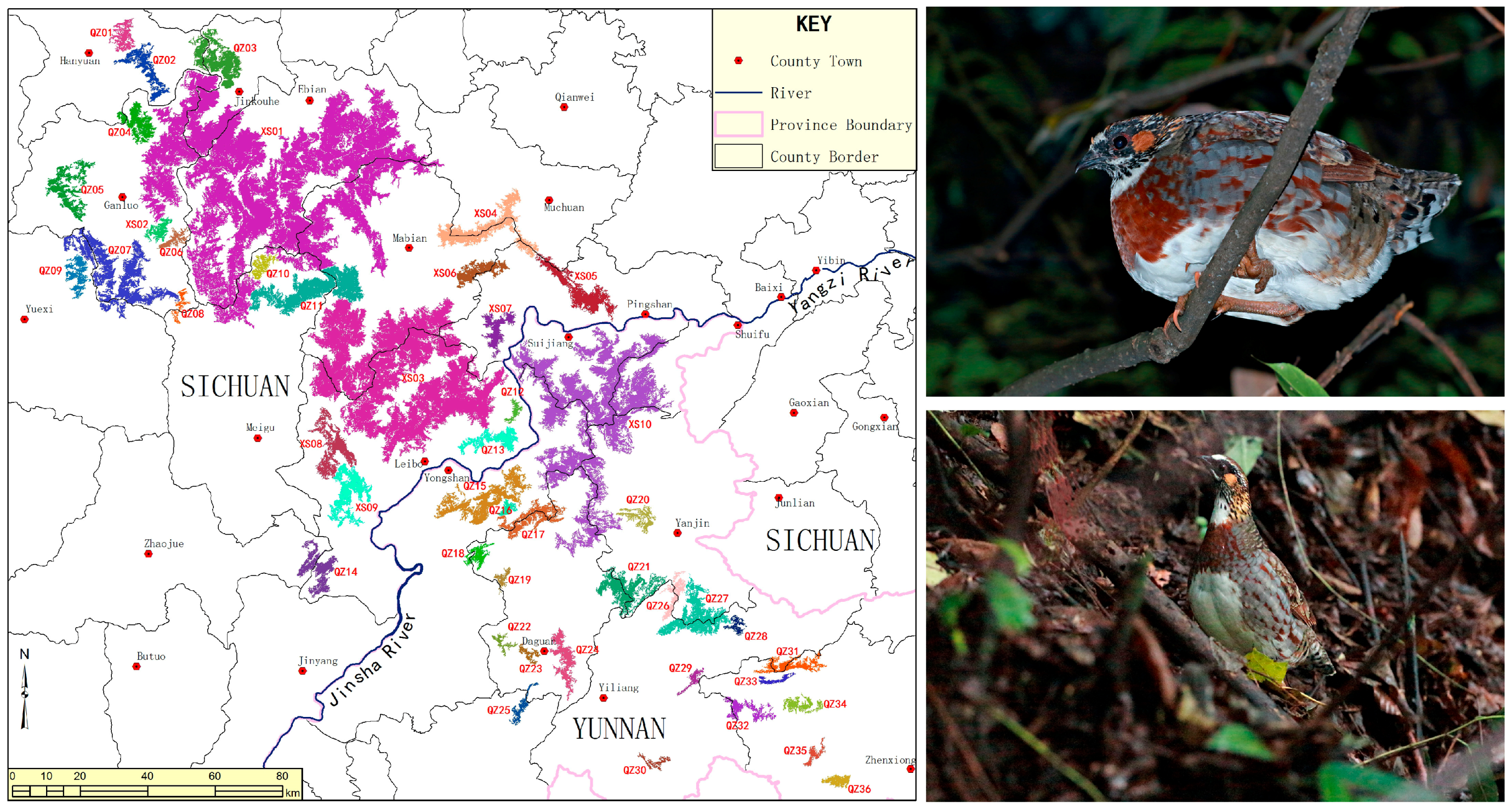 Genes 10 00677 g001 Genes 10 00677 g001