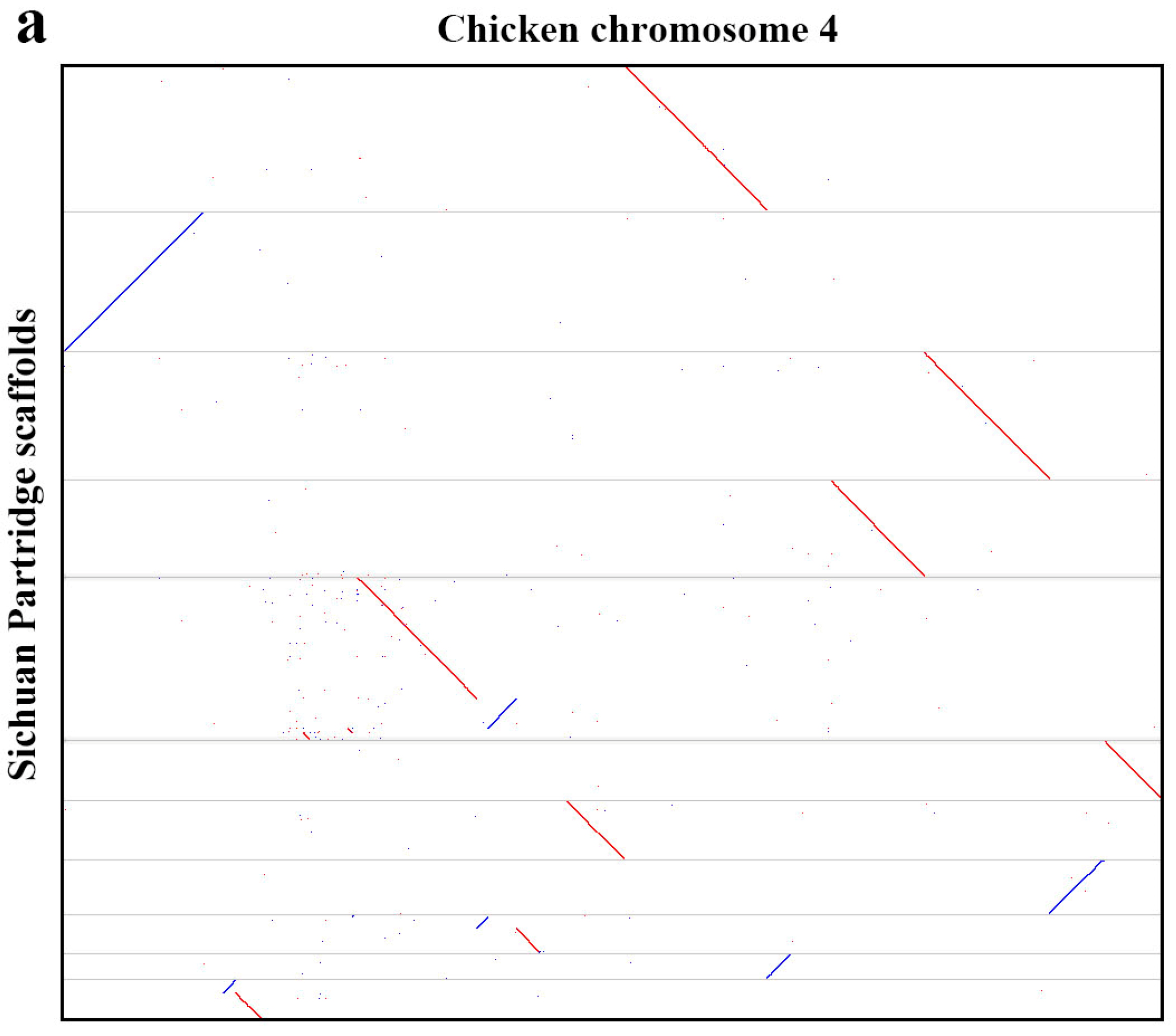 Genes 10 00677 g002a Genes 10 00677 g002a