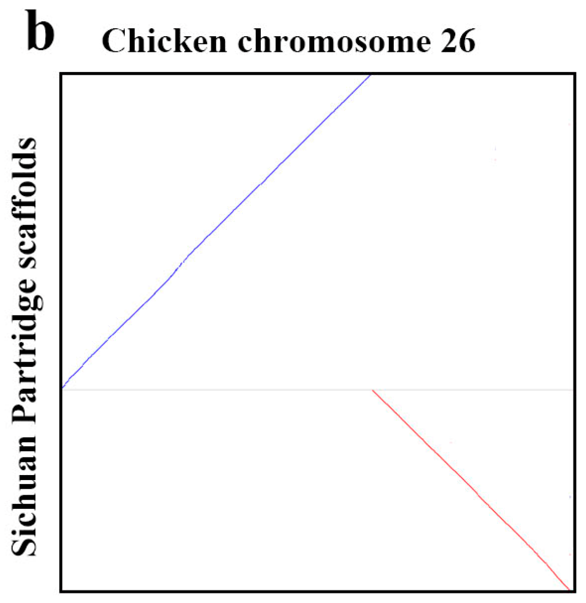 Genes 10 00677 g002b Genes 10 00677 g002b