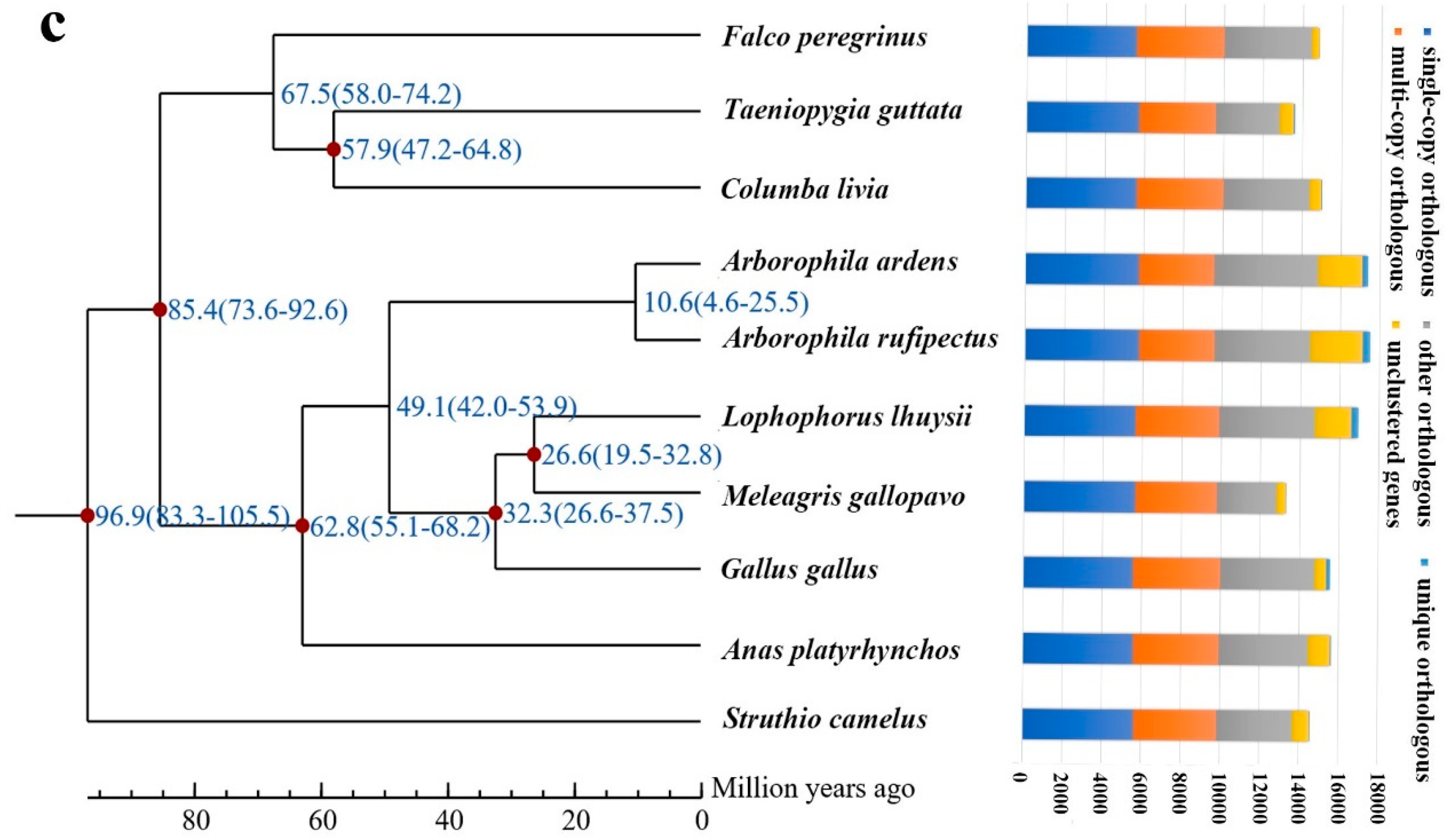 Genes 10 00677 g003b Genes 10 00677 g003b