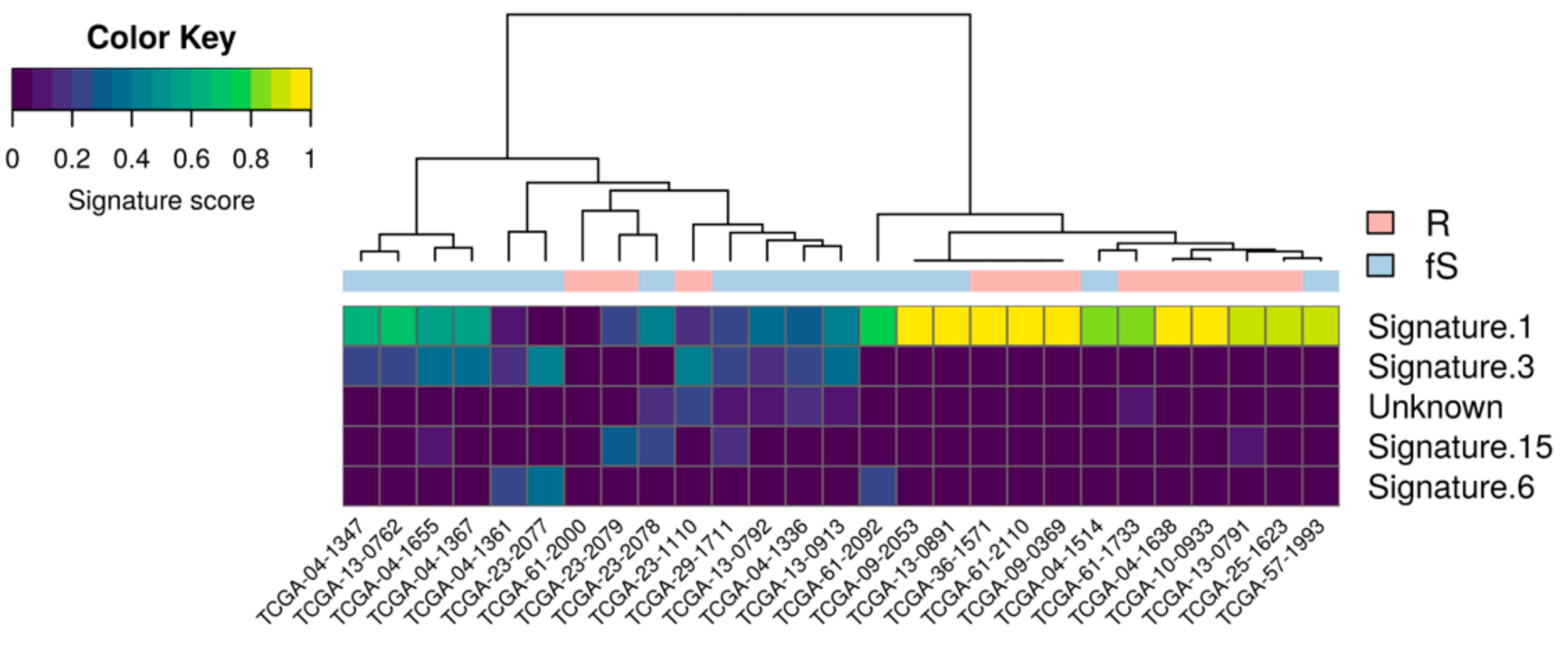 Genes 10 00678 g002 Genes 10 00678 g002