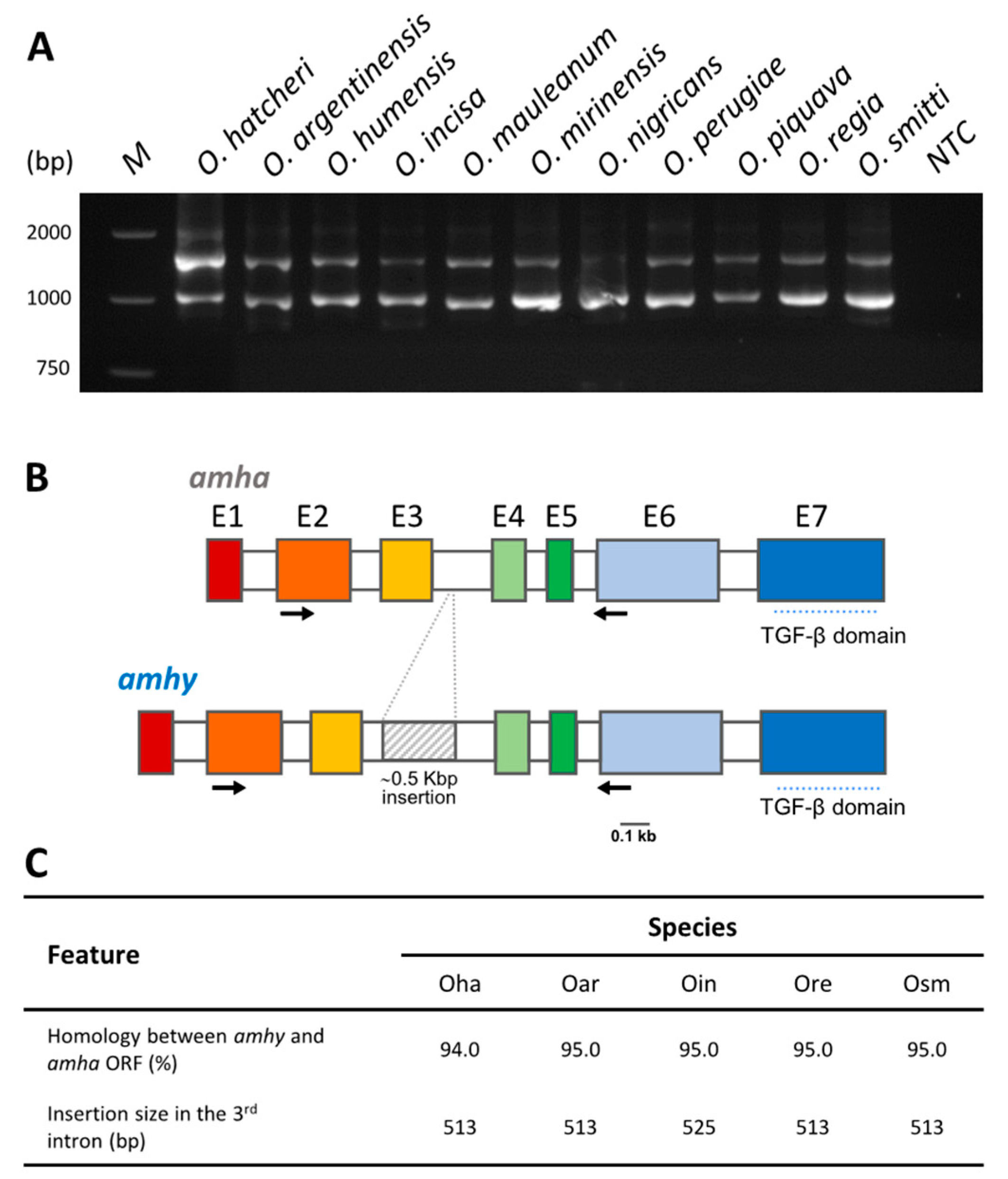 Genes 10 00679 g002 Genes 10 00679 g002