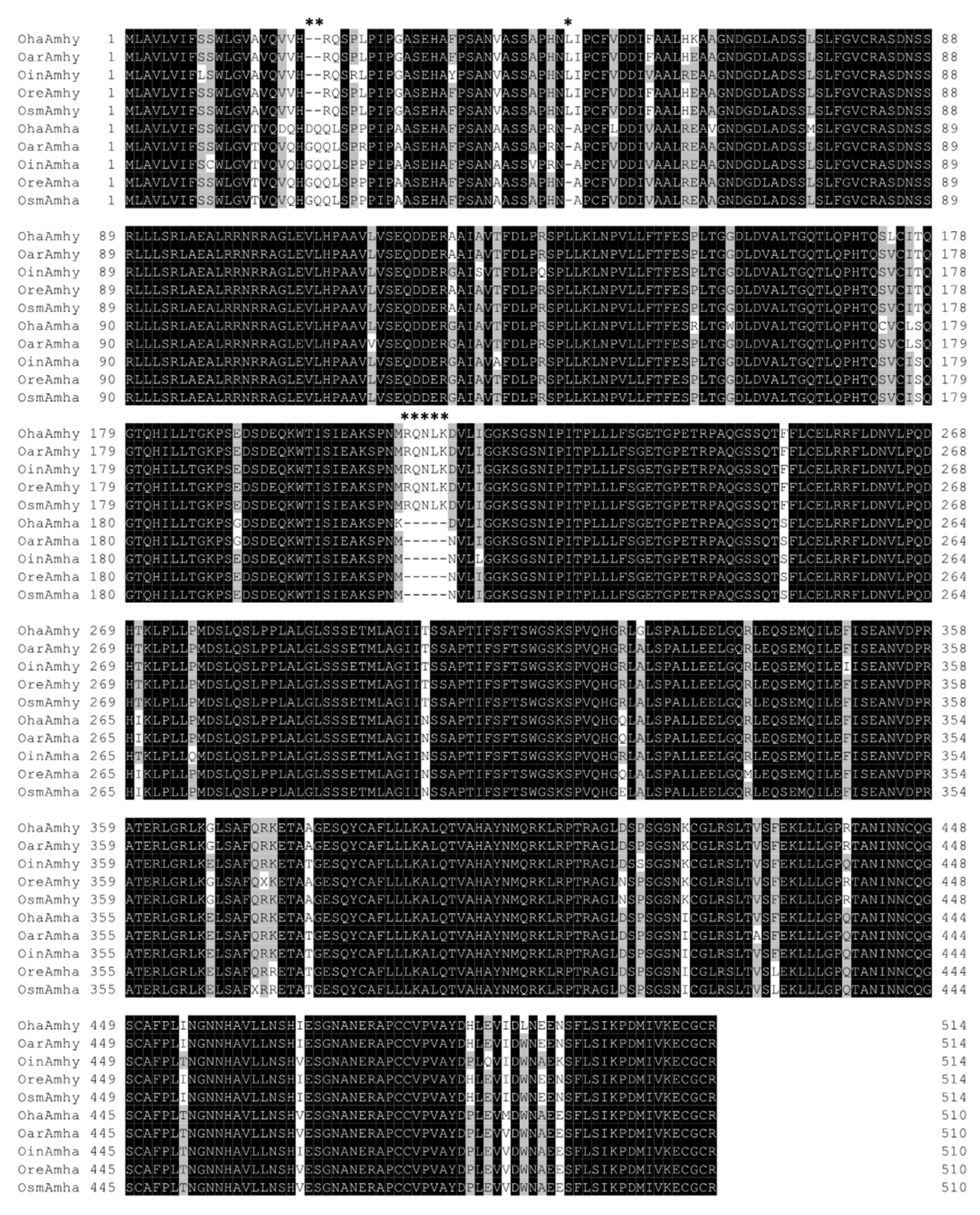 Genes 10 00679 g003 Genes 10 00679 g003