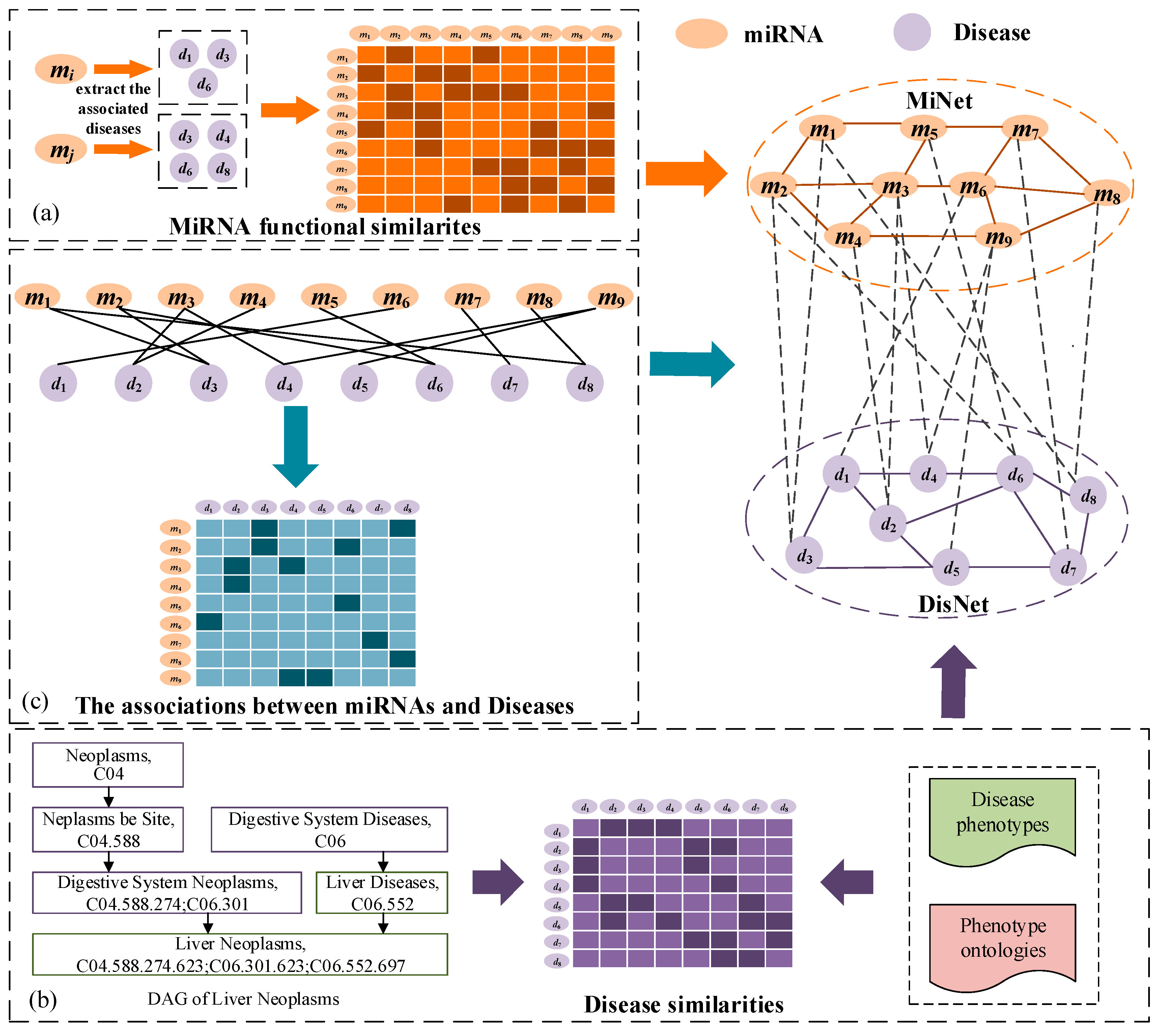 Genes 10 00685 g001 Genes 10 00685 g001