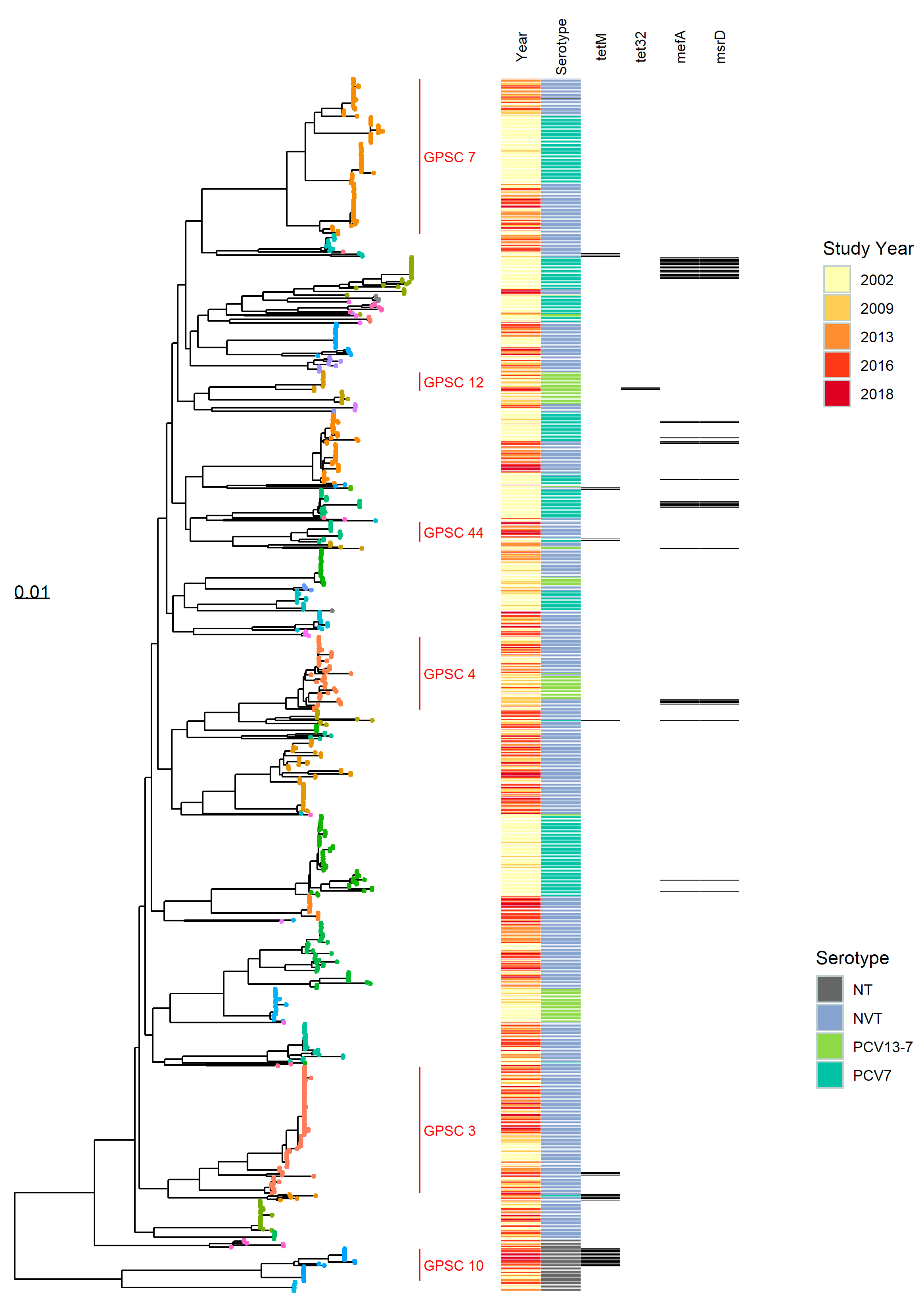 Genes 10 00687 g003 Genes 10 00687 g003
