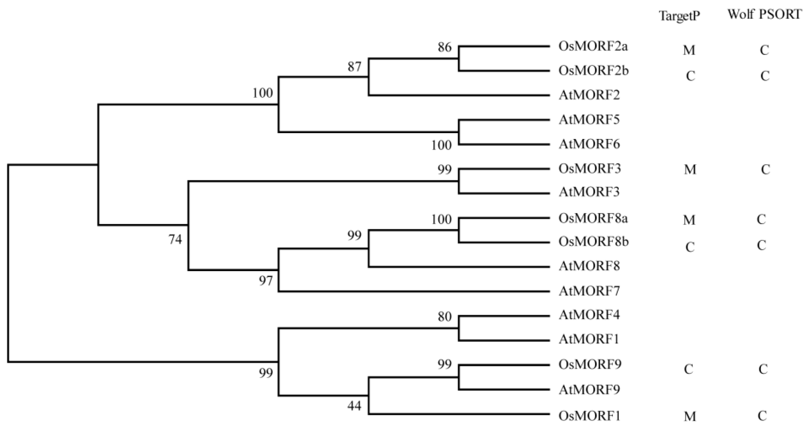 Genes 10 00694 g001 Genes 10 00694 g001