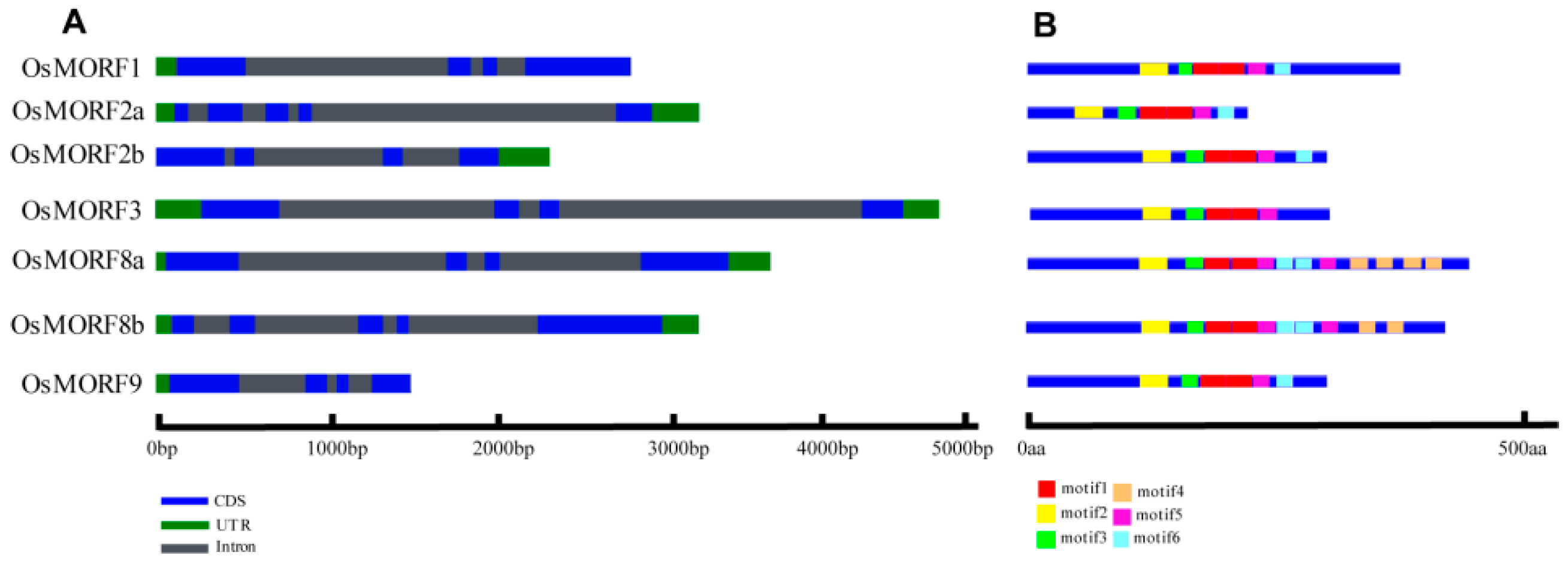Genes 10 00694 g002 Genes 10 00694 g002