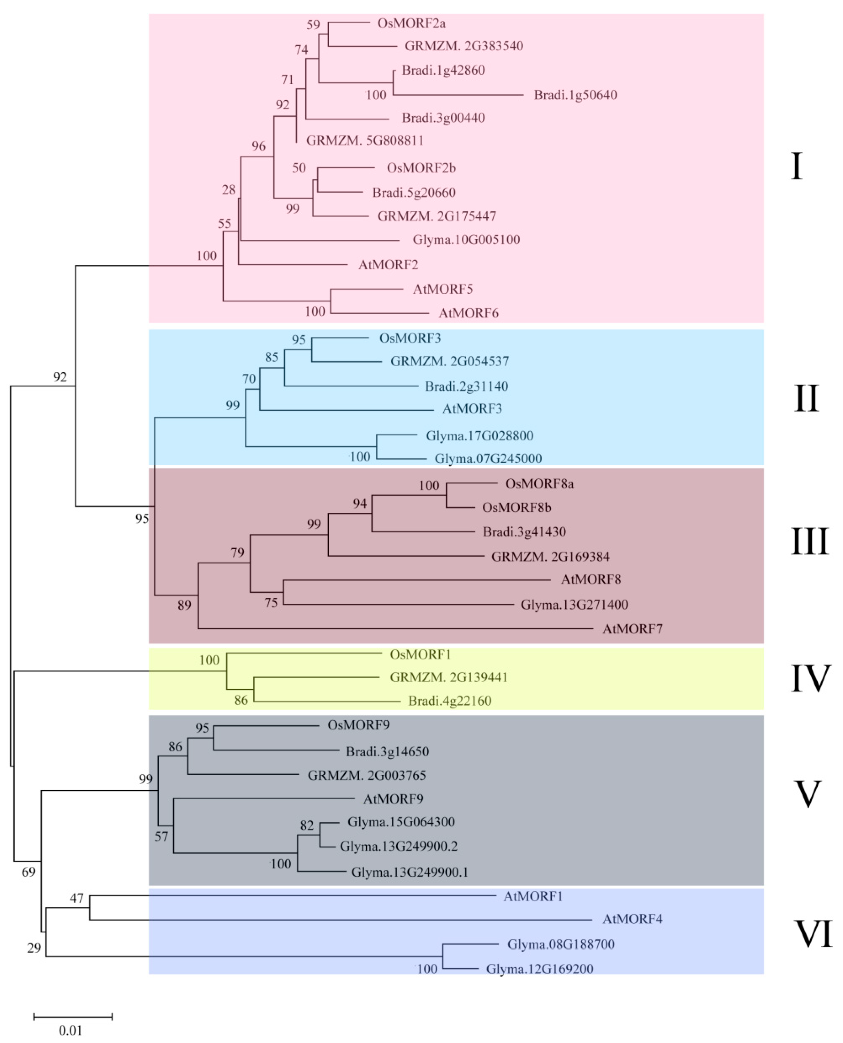 Genes 10 00694 g003 Genes 10 00694 g003