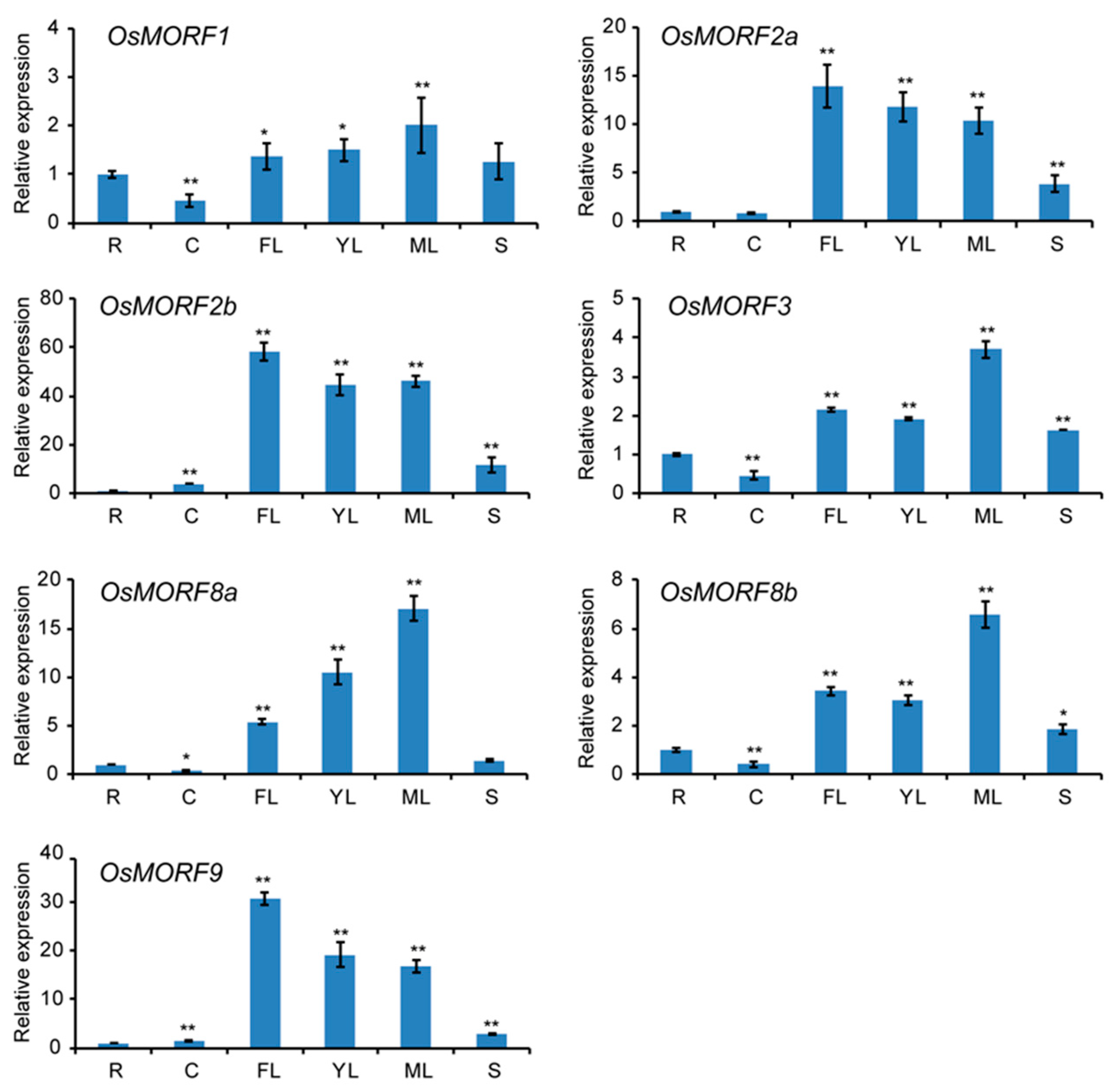 Genes 10 00694 g005 Genes 10 00694 g005