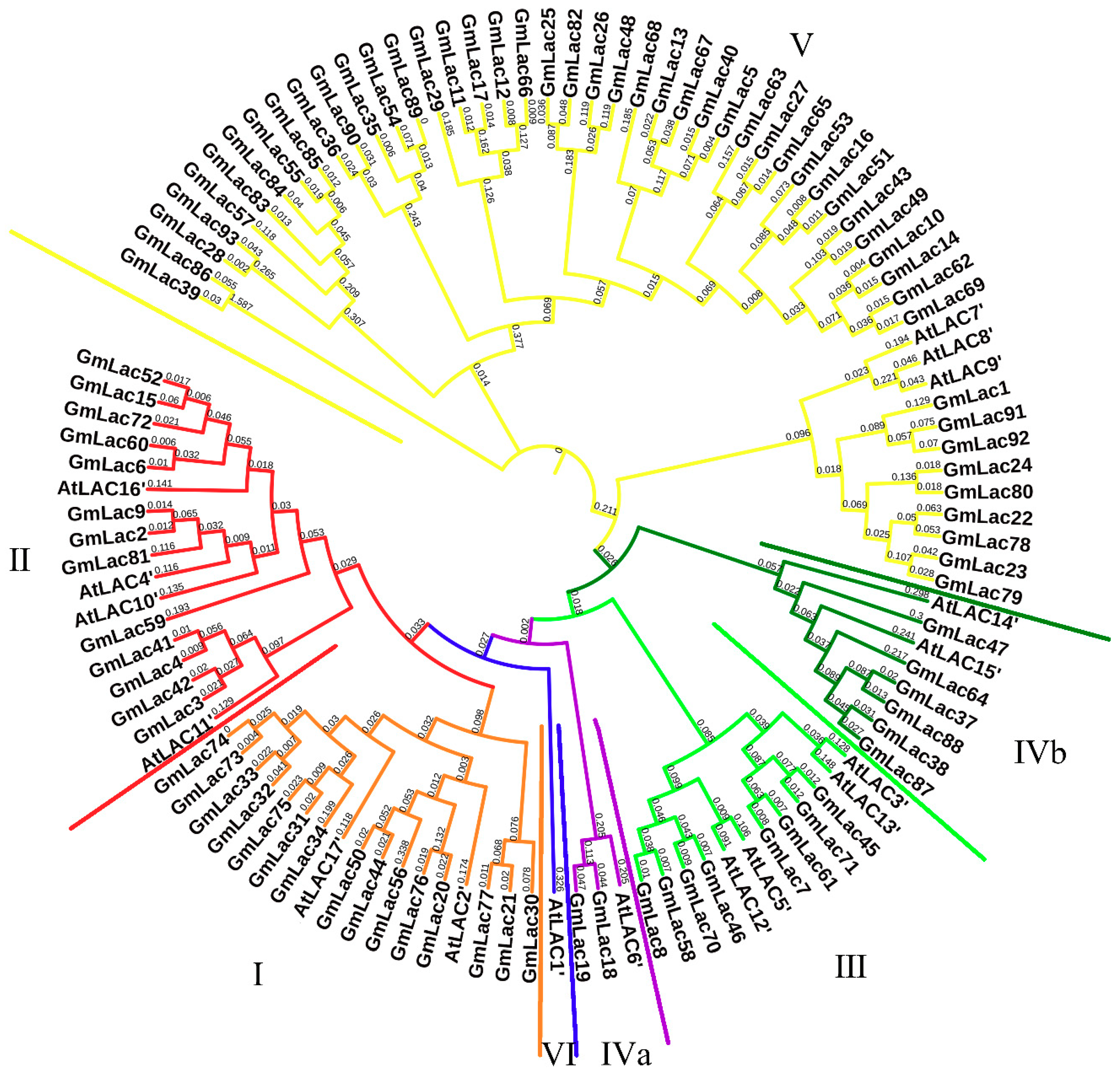 Genes 10 00701 g002 Genes 10 00701 g002