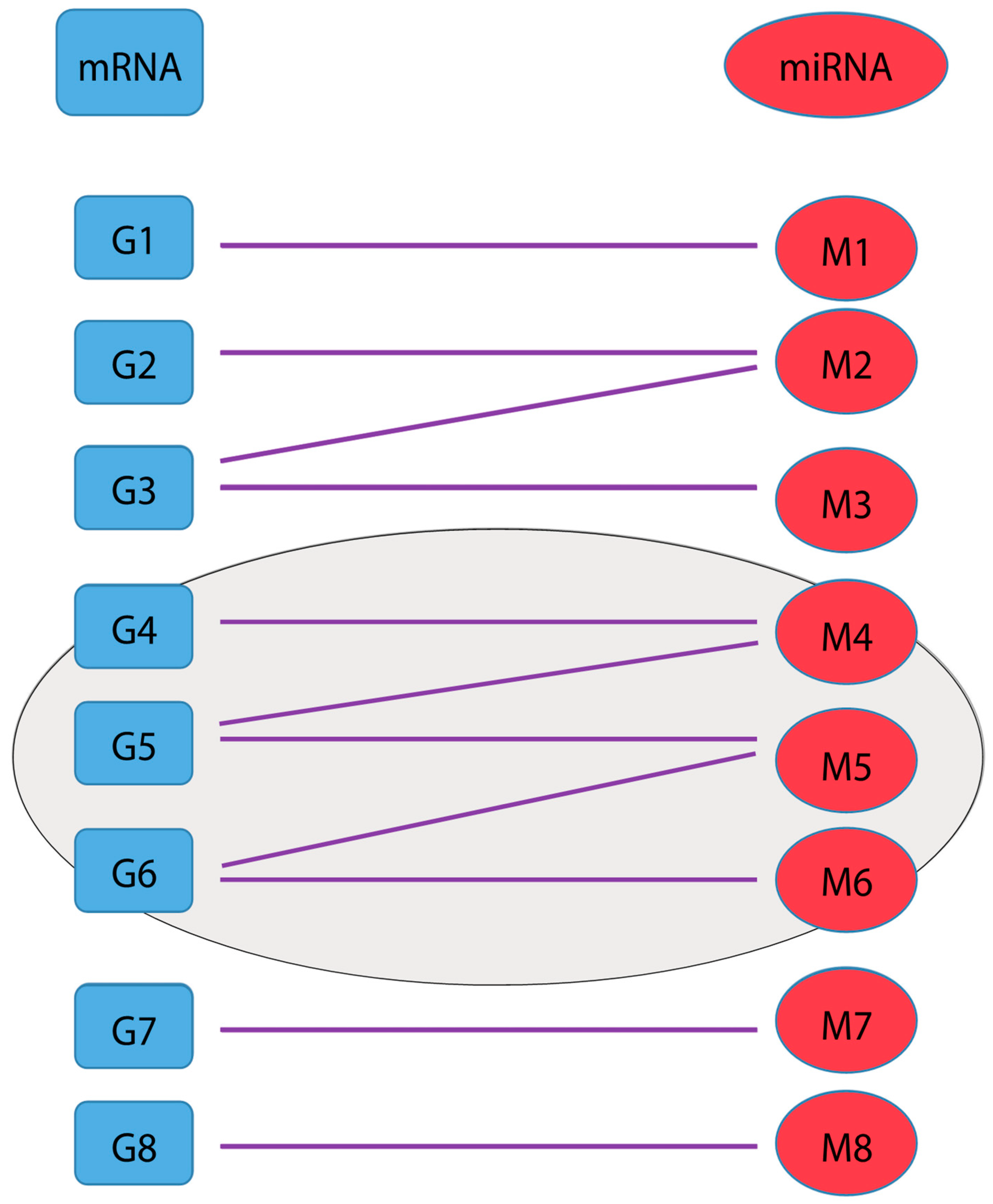 Genes 10 00702 g001 Genes 10 00702 g001