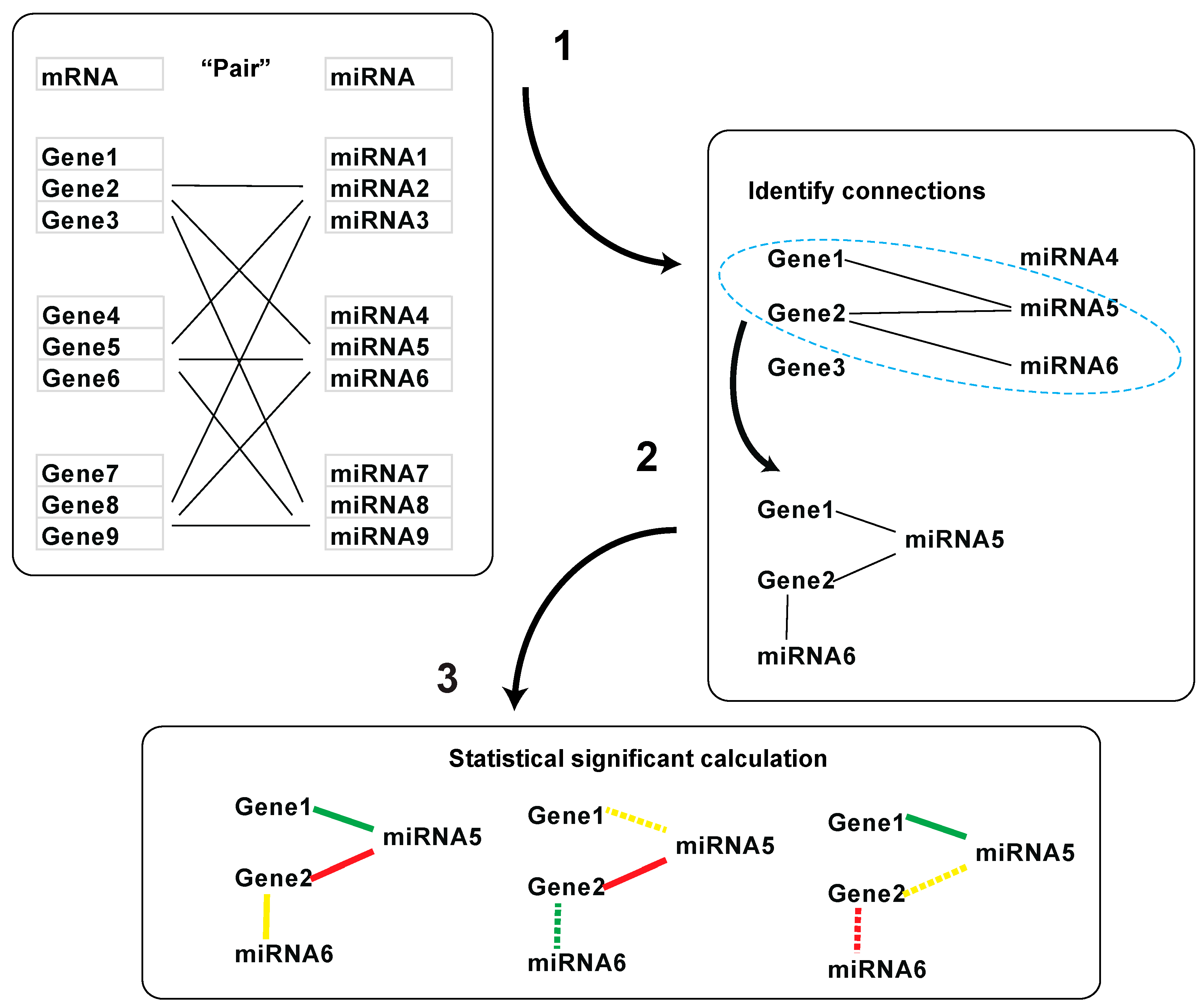 Genes 10 00702 g002 Genes 10 00702 g002
