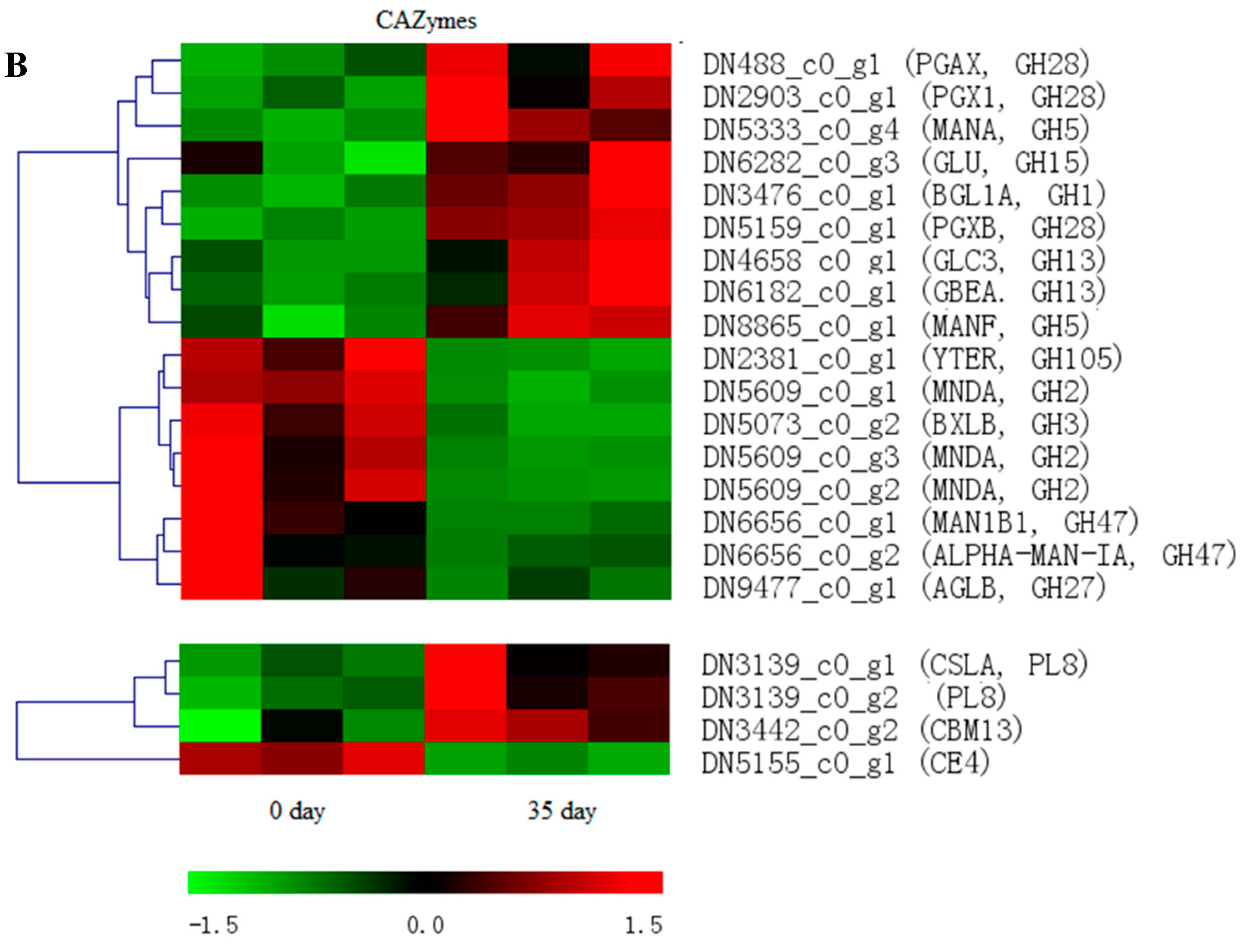 Genes 10 00703 g007b Genes 10 00703 g007b