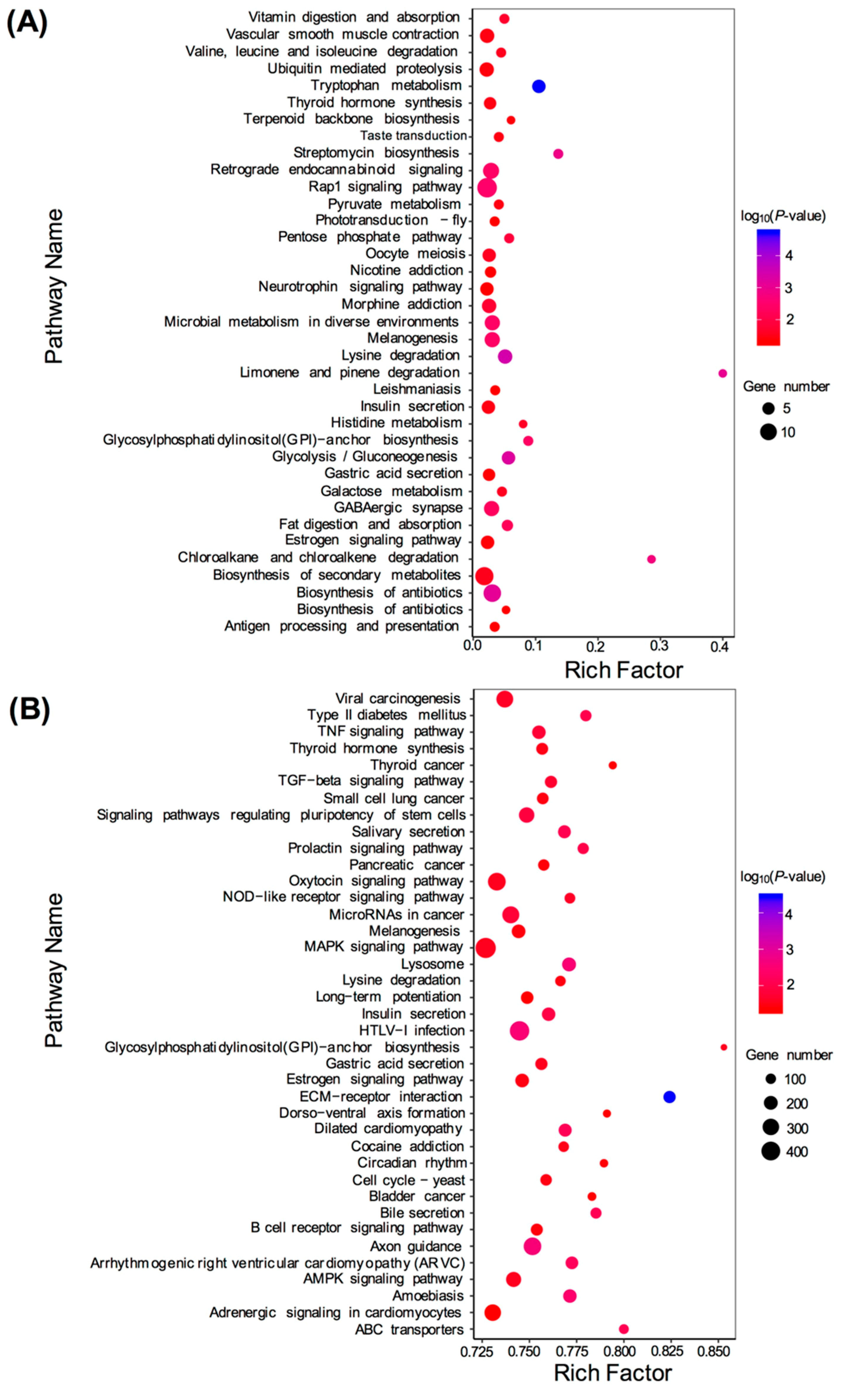 Genes 10 00704 g006