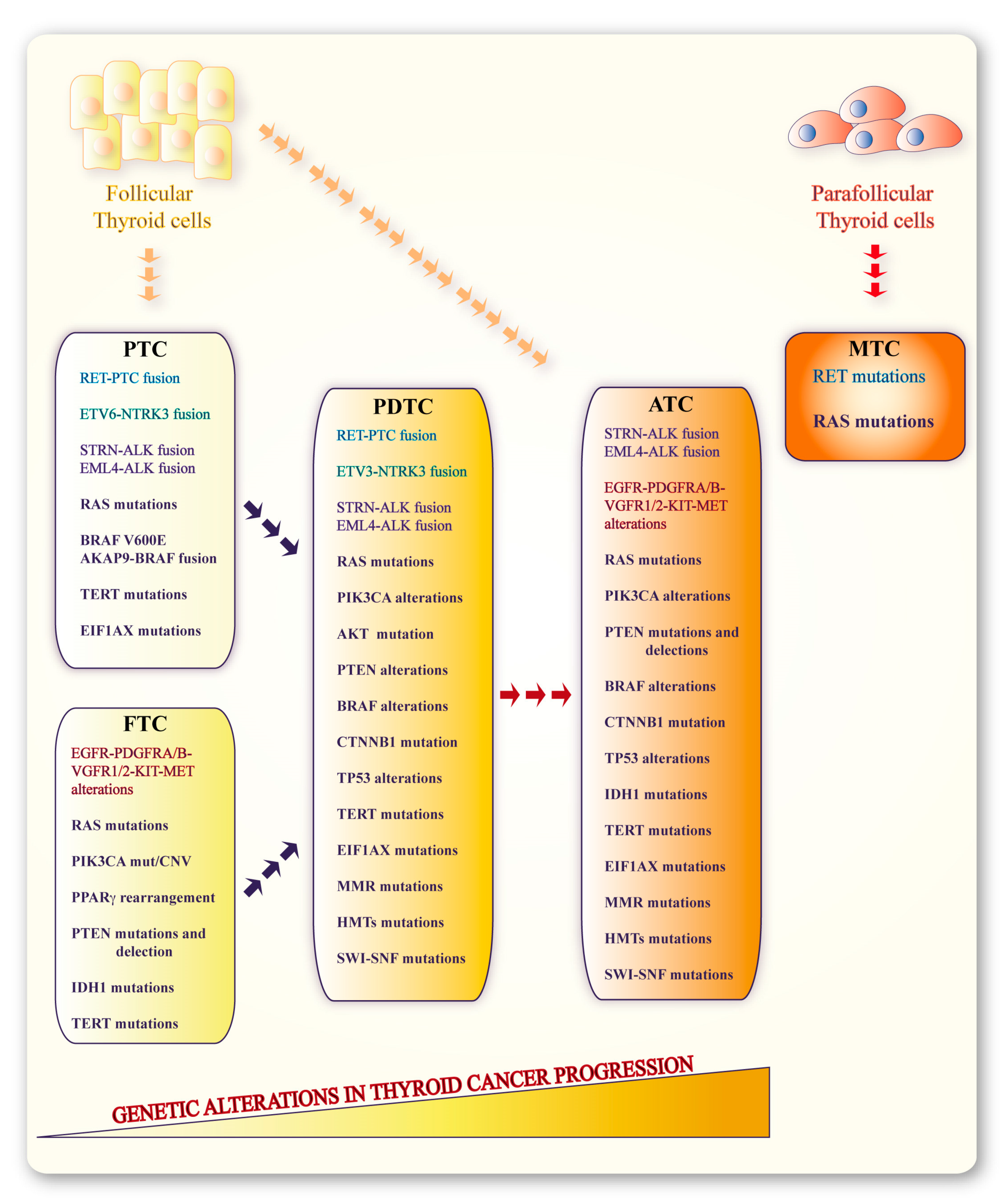 Genes 10 00709 g001 Genes 10 00709 g001