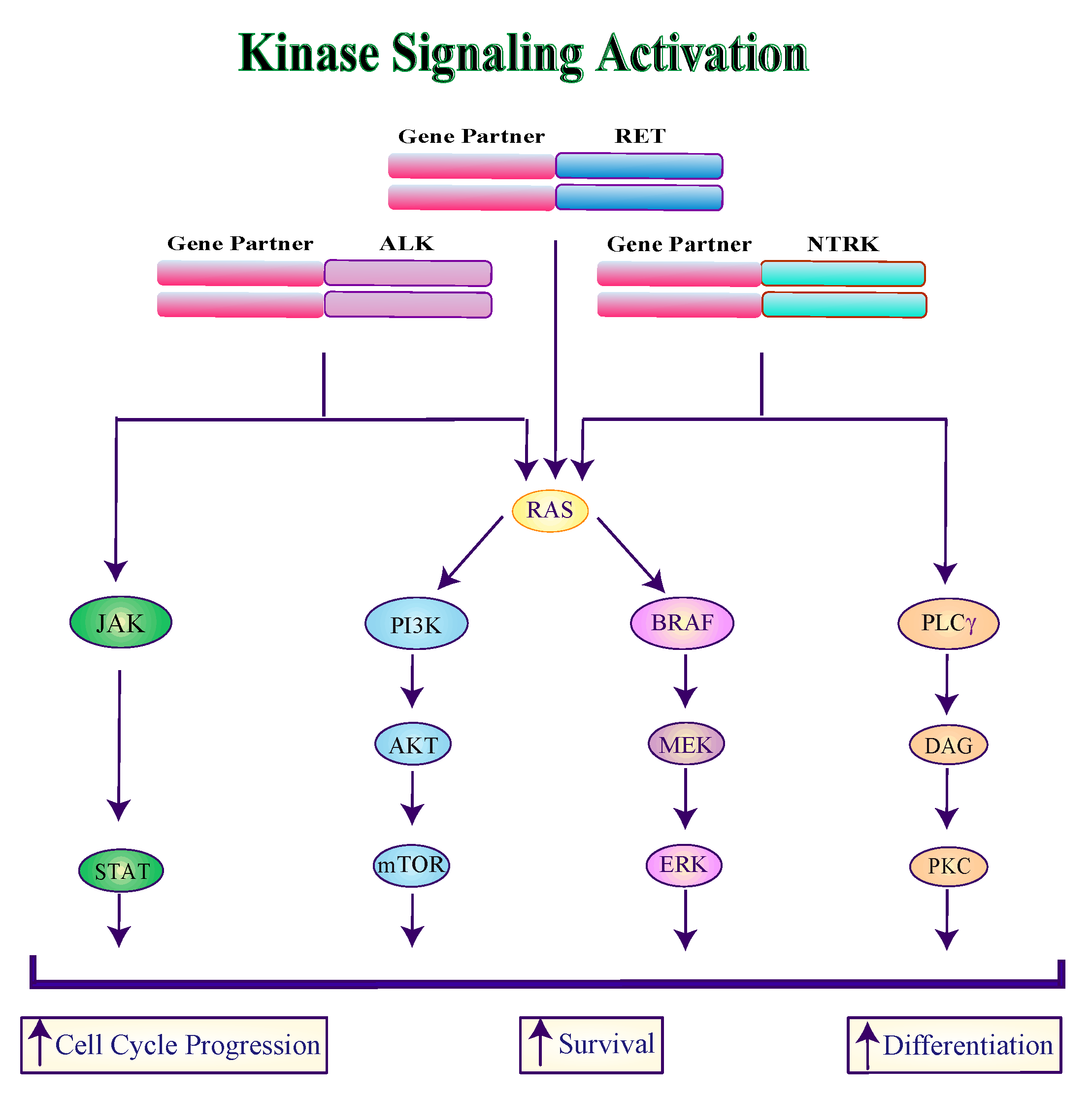Genes 10 00709 g002 Genes 10 00709 g002