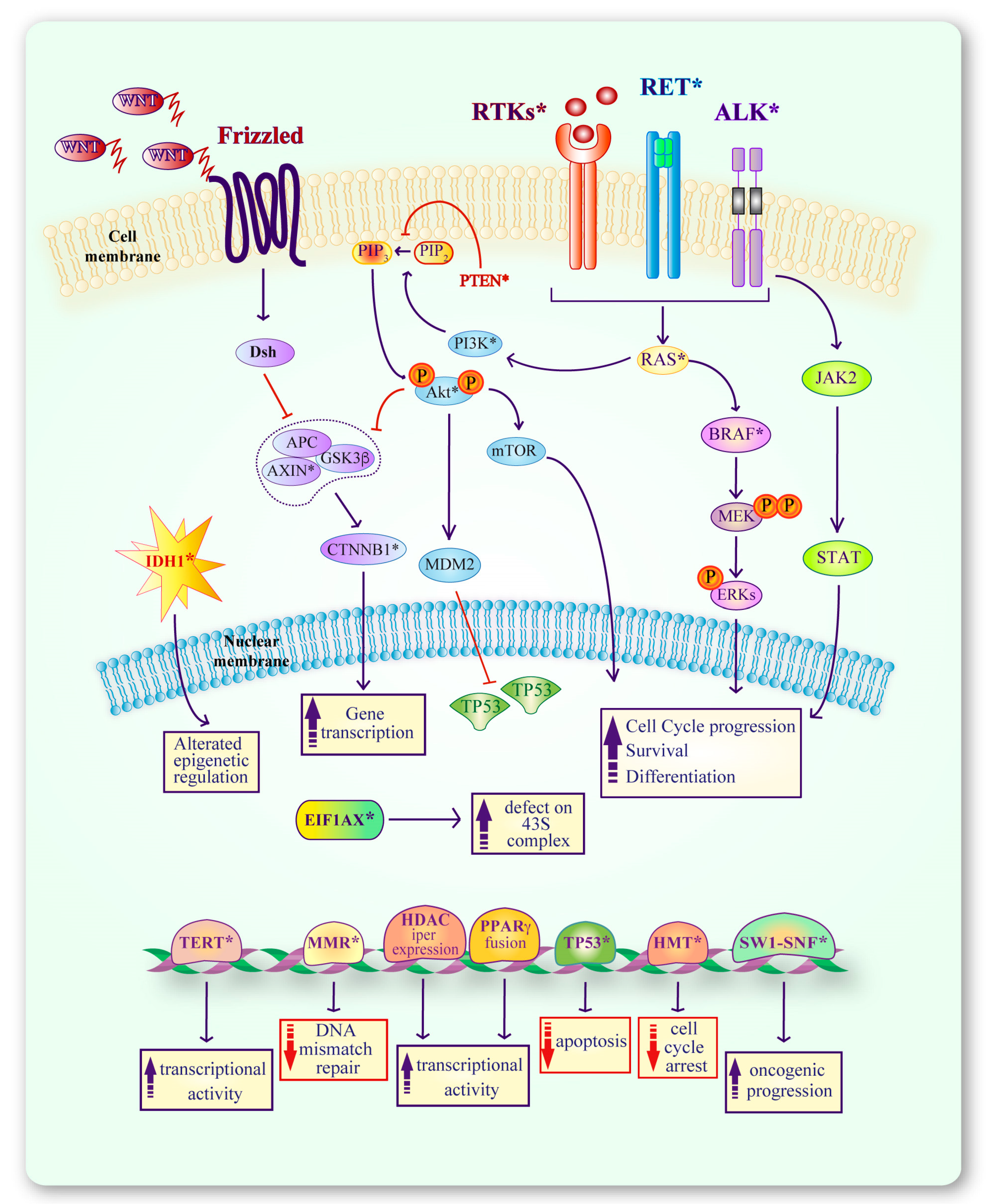 Genes 10 00709 g003 Genes 10 00709 g003
