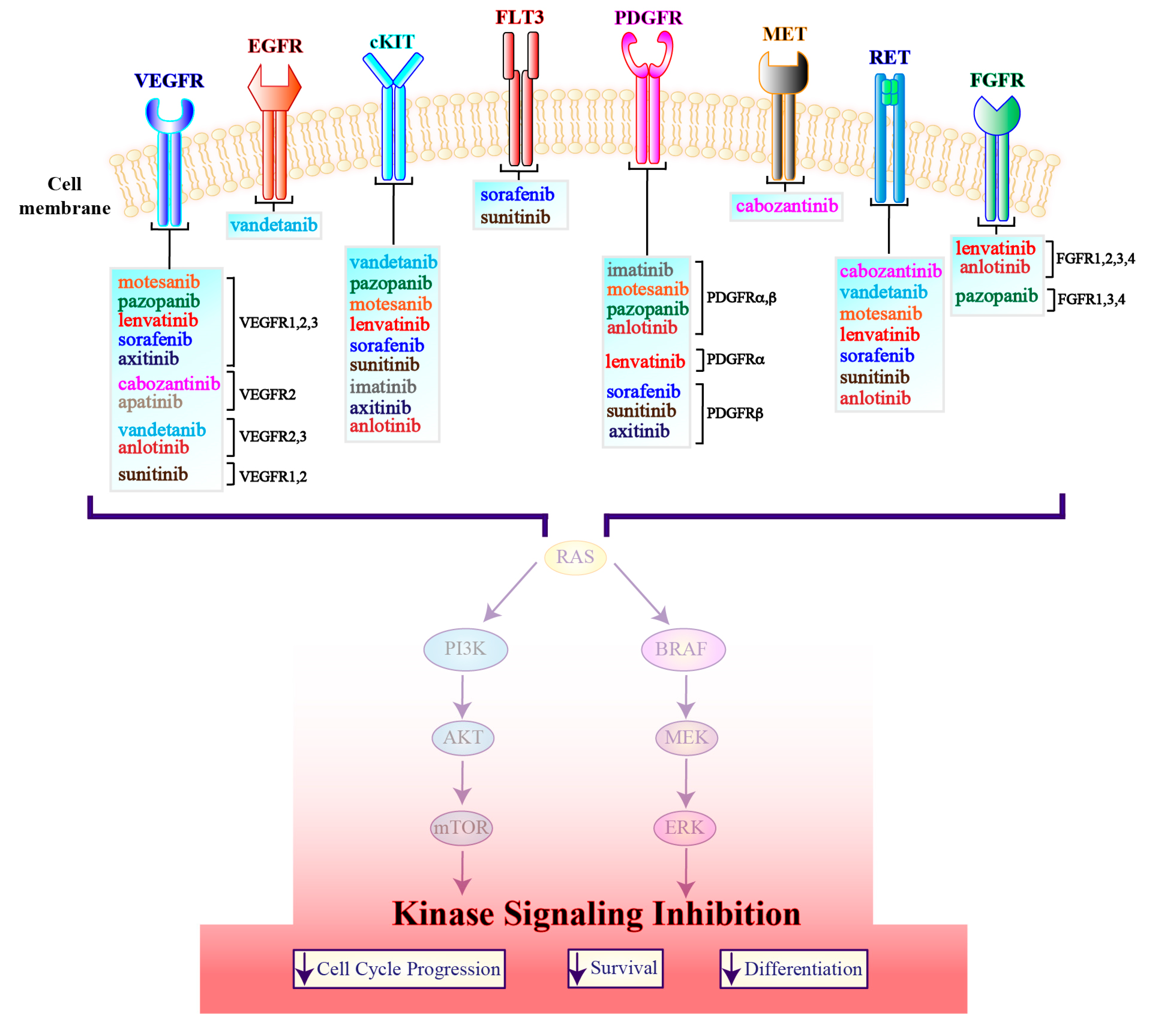Genes 10 00709 g004 Genes 10 00709 g004