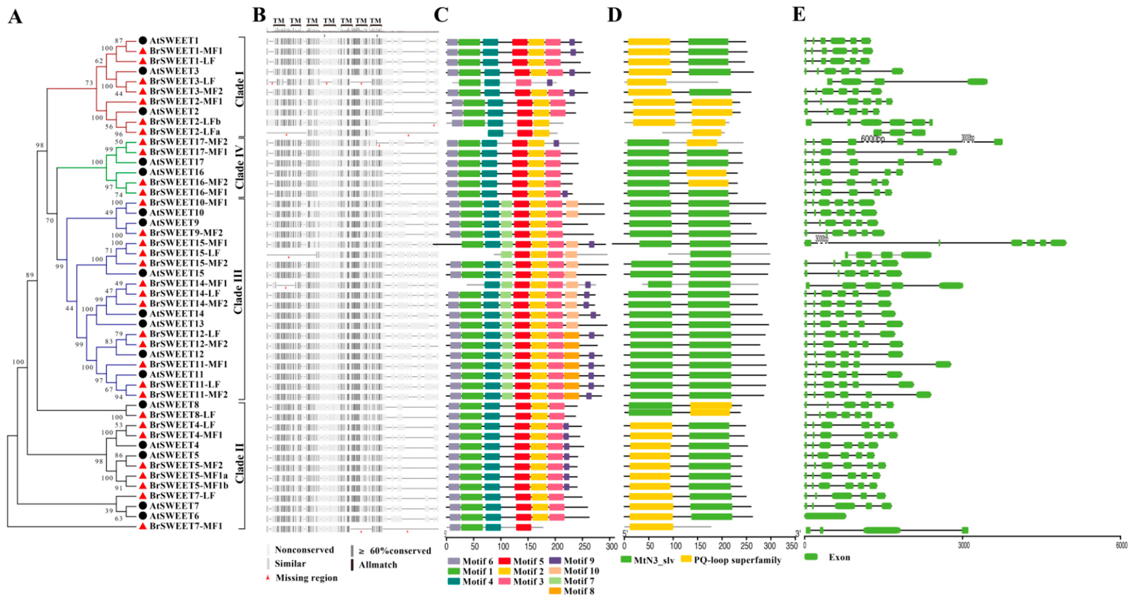 Genes 10 00722 g003 Genes 10 00722 g003