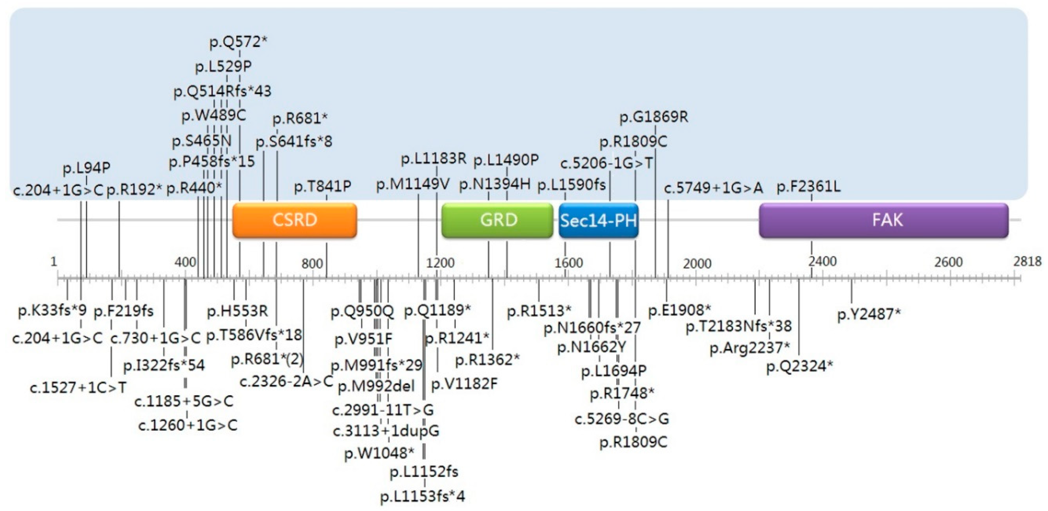 Genes 10 00847 g002 Genes 10 00847 g002