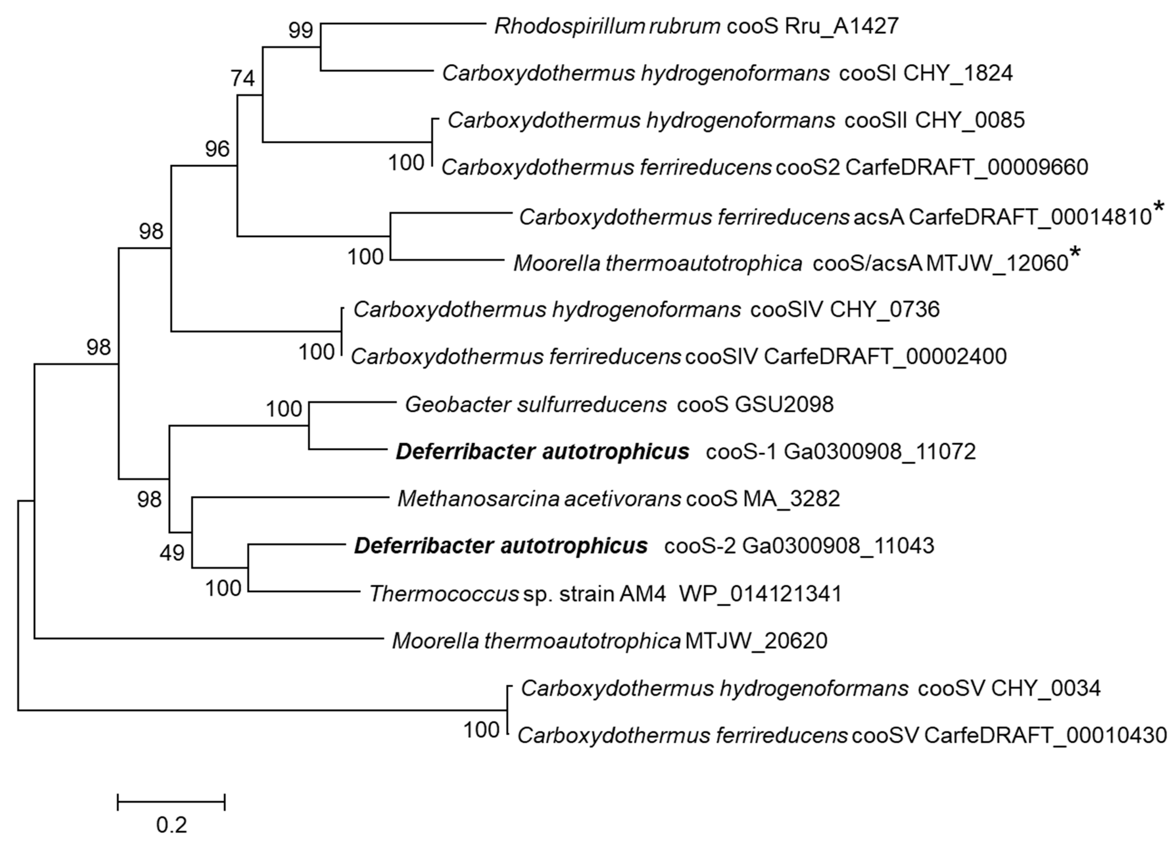 Genes 10 00849 g005 Genes 10 00849 g005