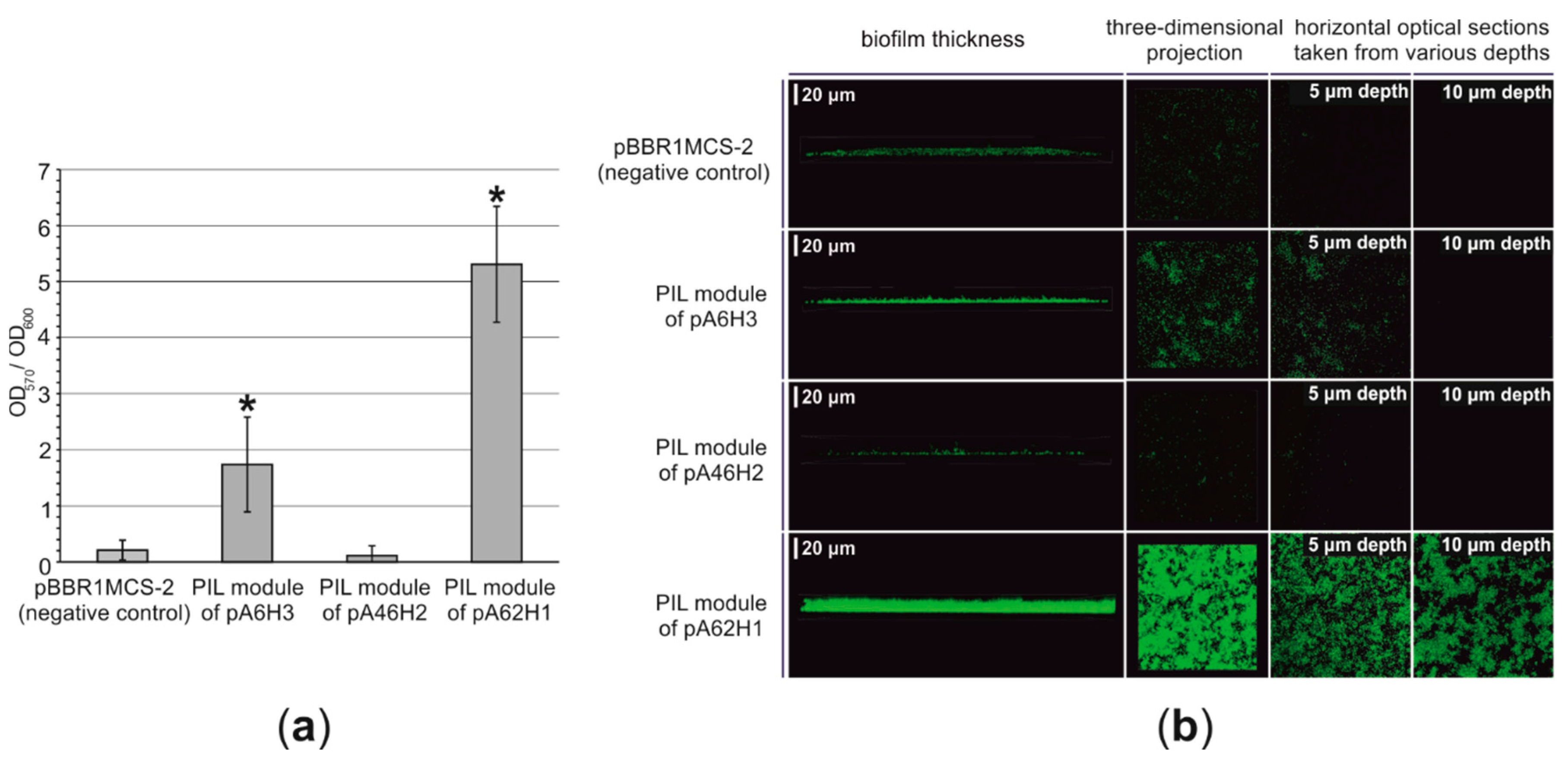 Genes 10 00850 g003