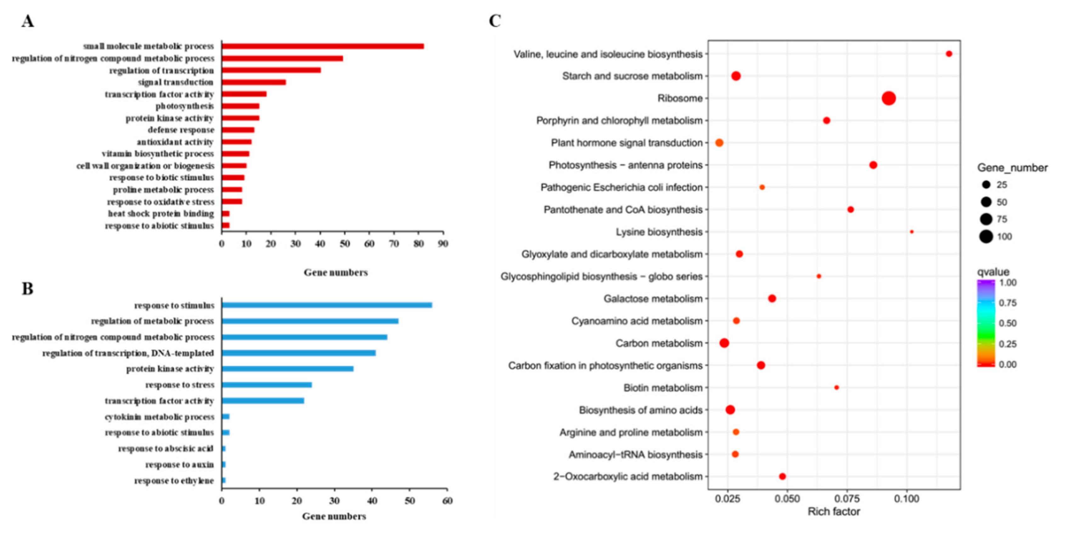 Genes 10 00853 g006