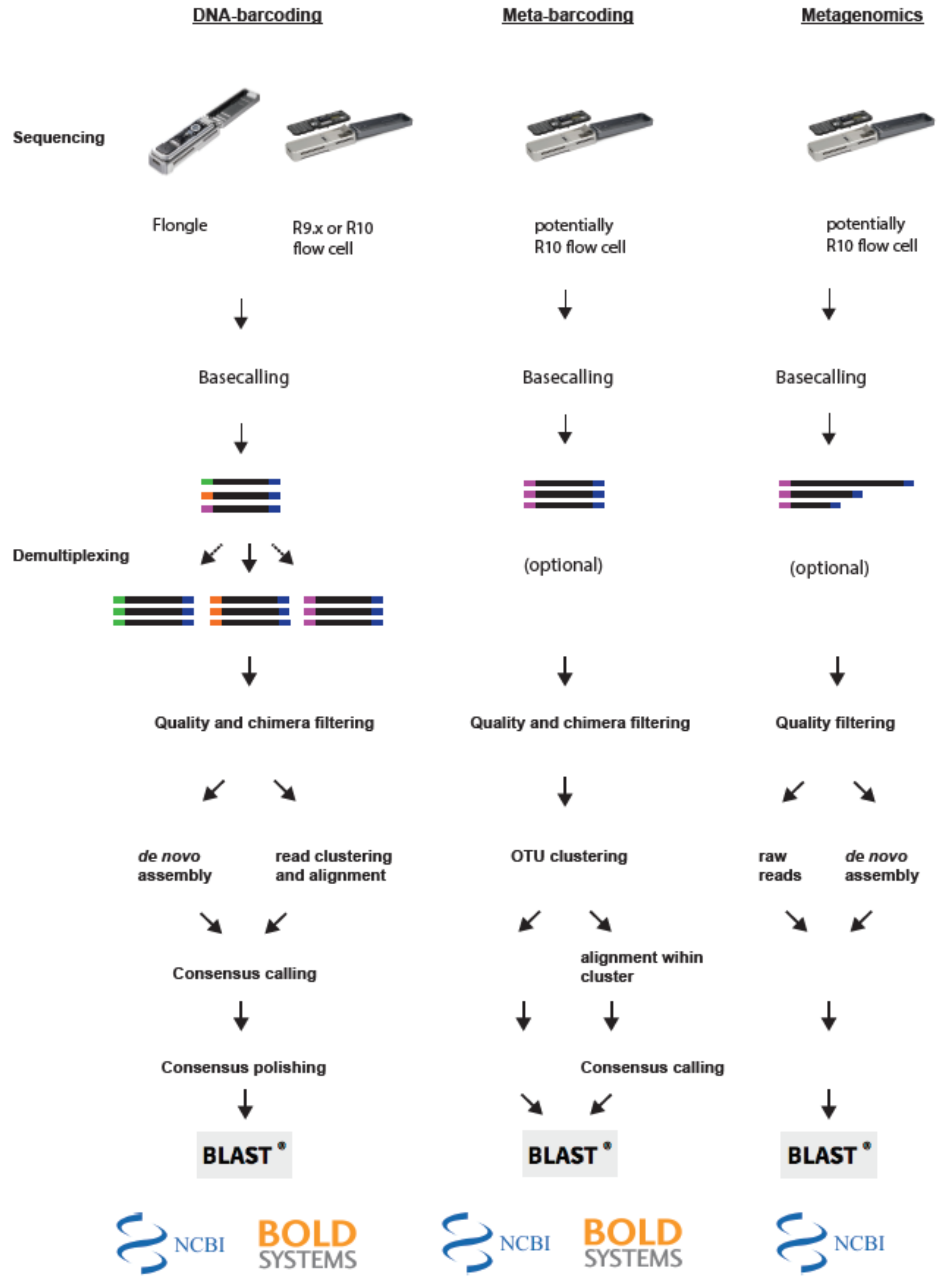 Genes 10 00858 g002