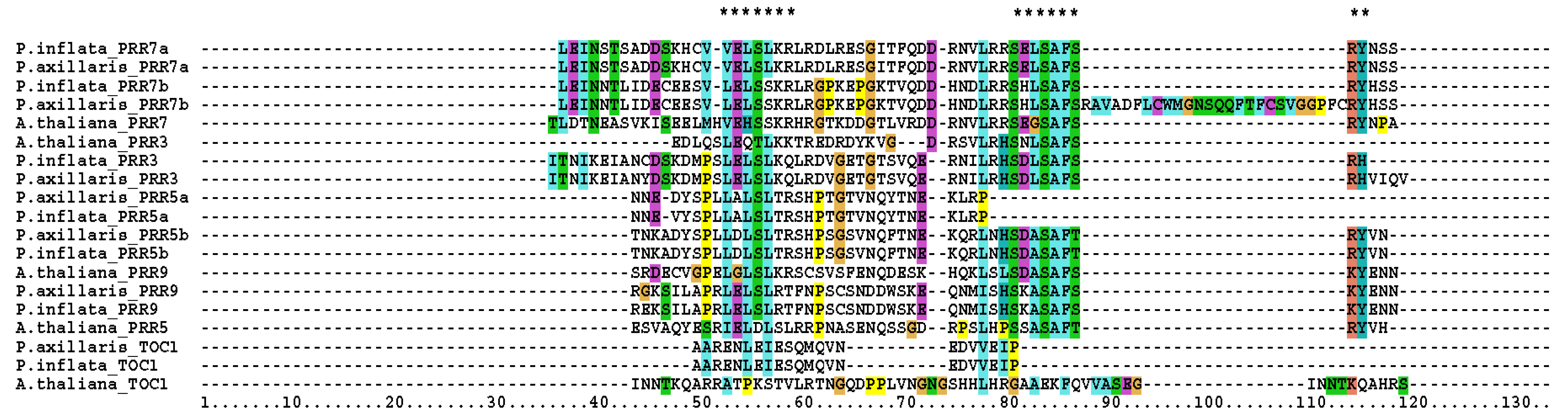 Genes 10 00860 g002