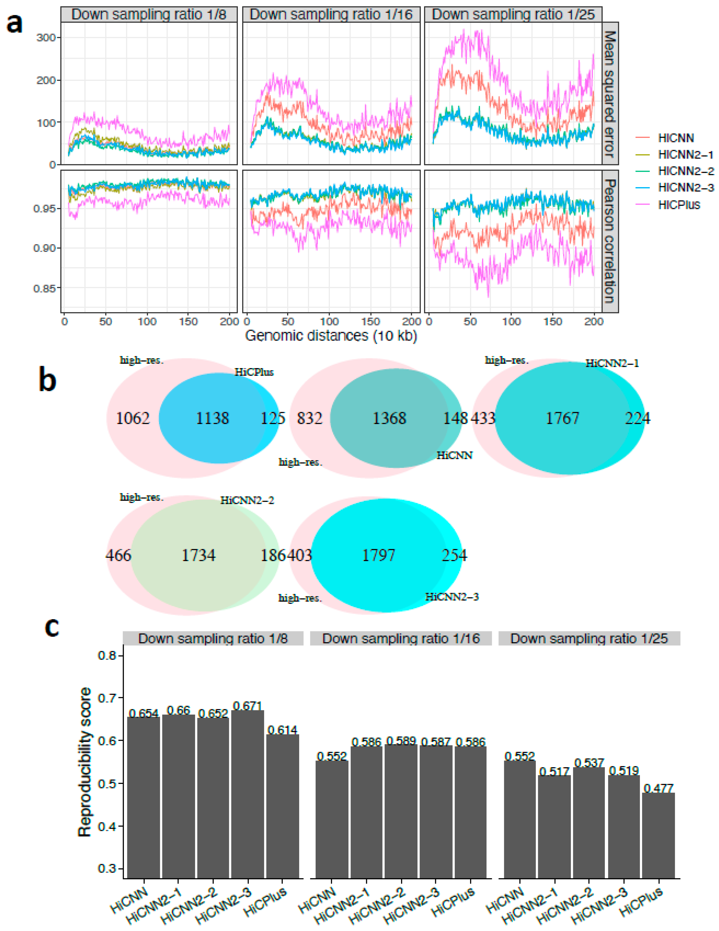 Genes 10 00862 g005