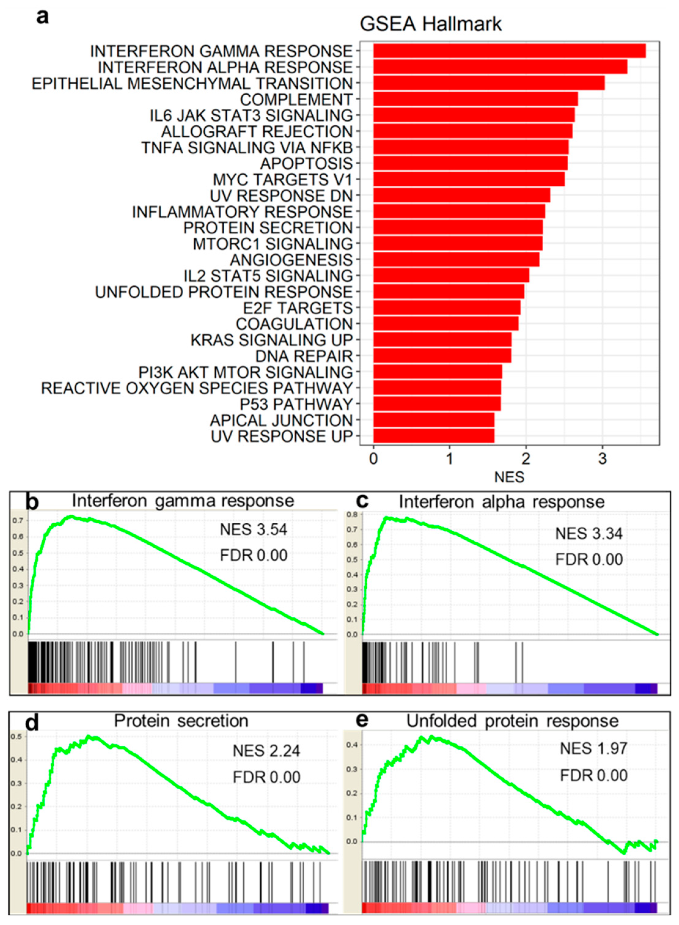 Genes 10 00864 g002
