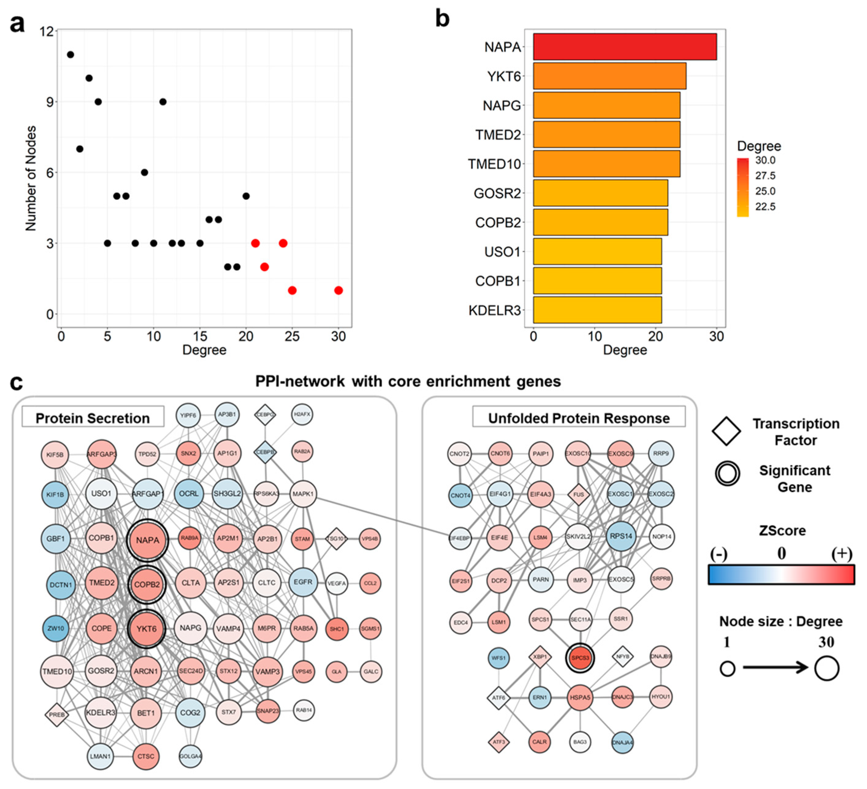 Genes 10 00864 g003