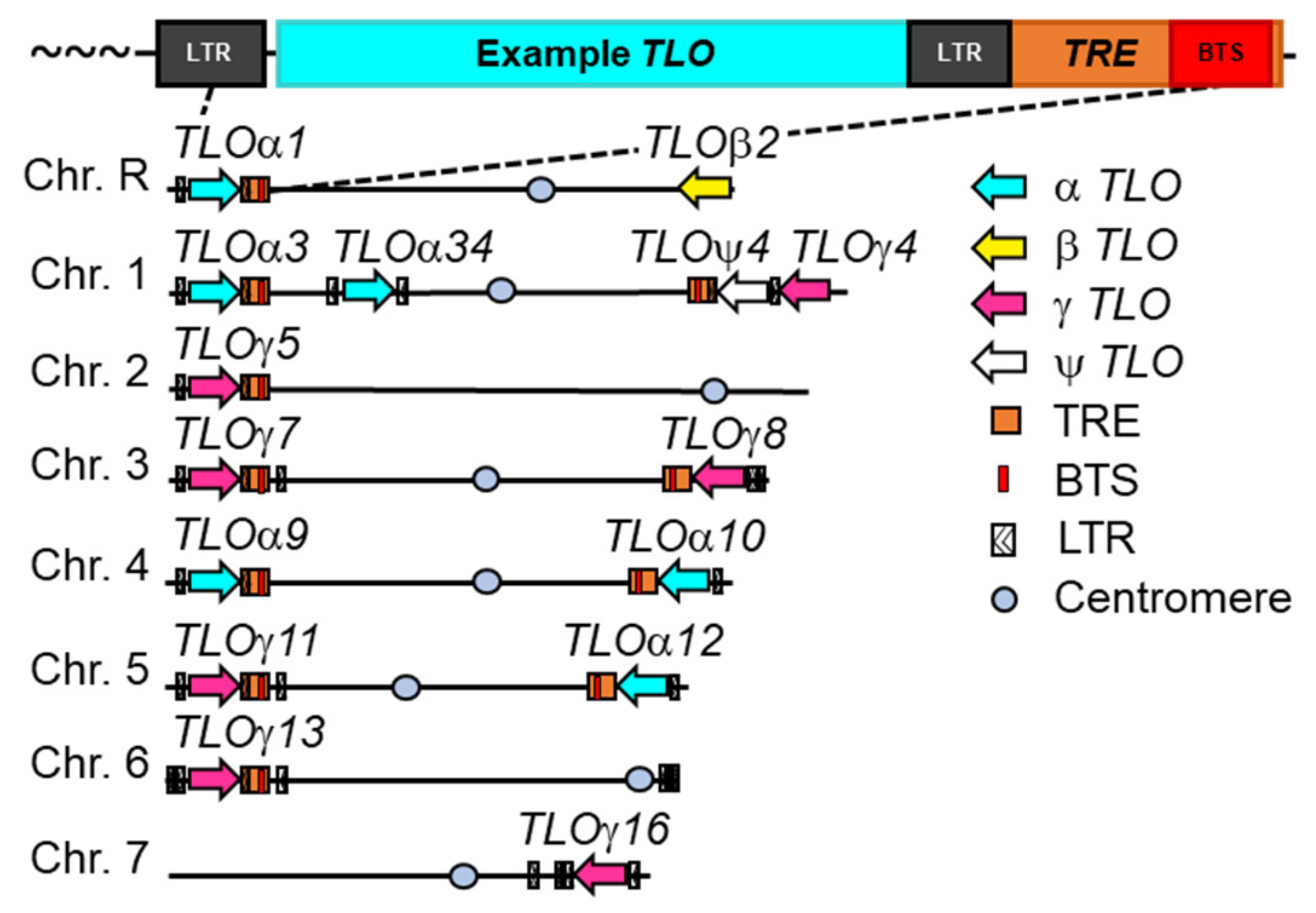 Genes 10 00866 g002