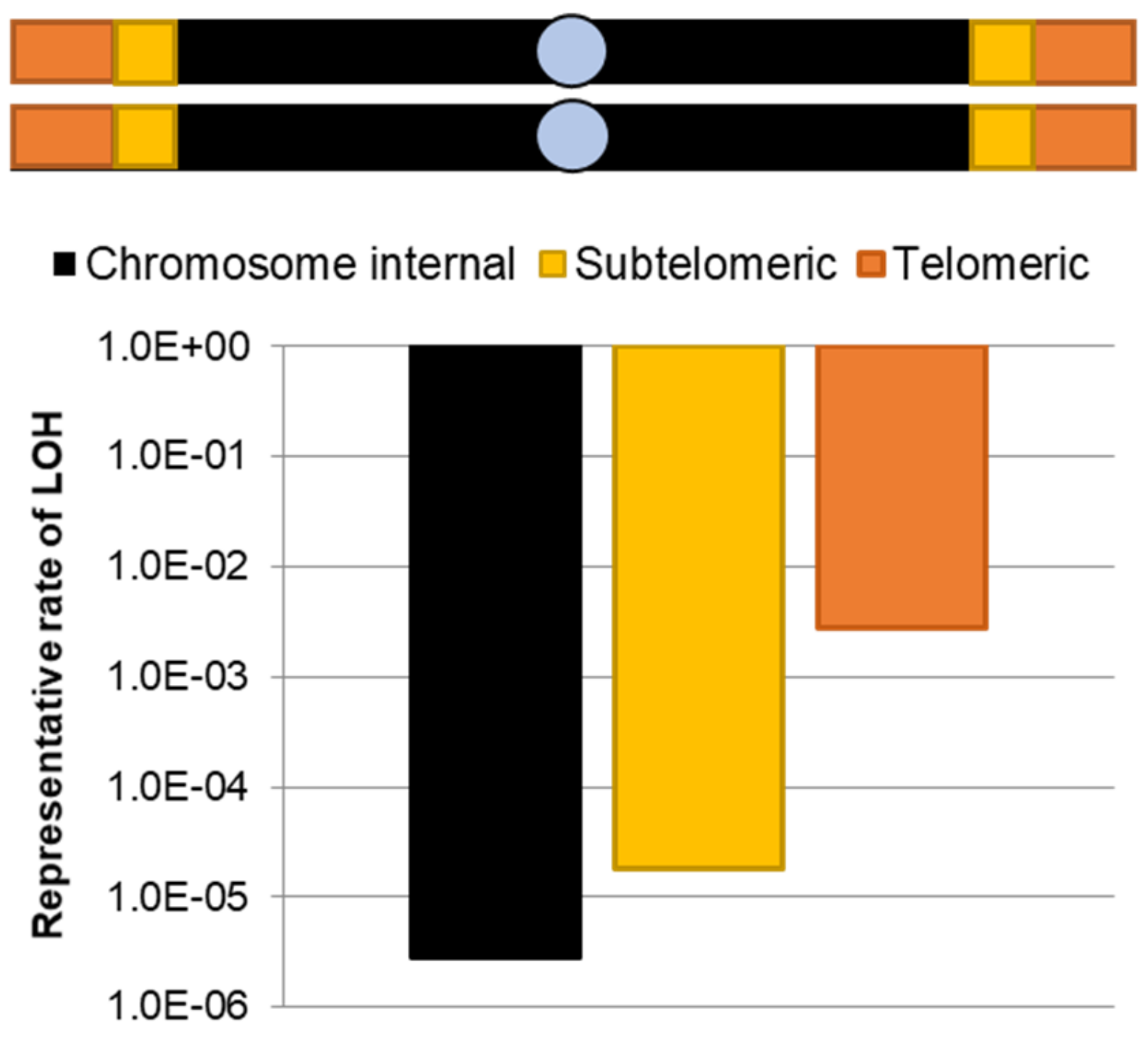Genes 10 00866 g003