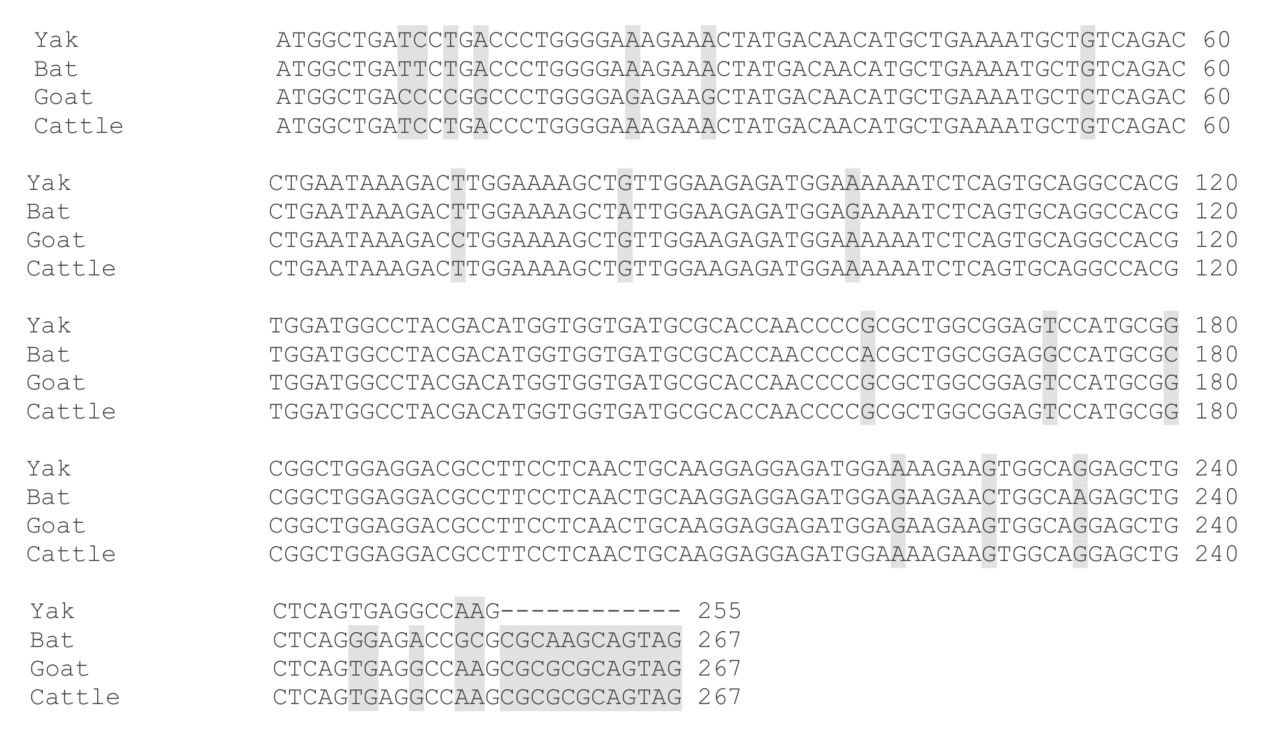 Genes 10 00867 g004 Genes 10 00867 g004
