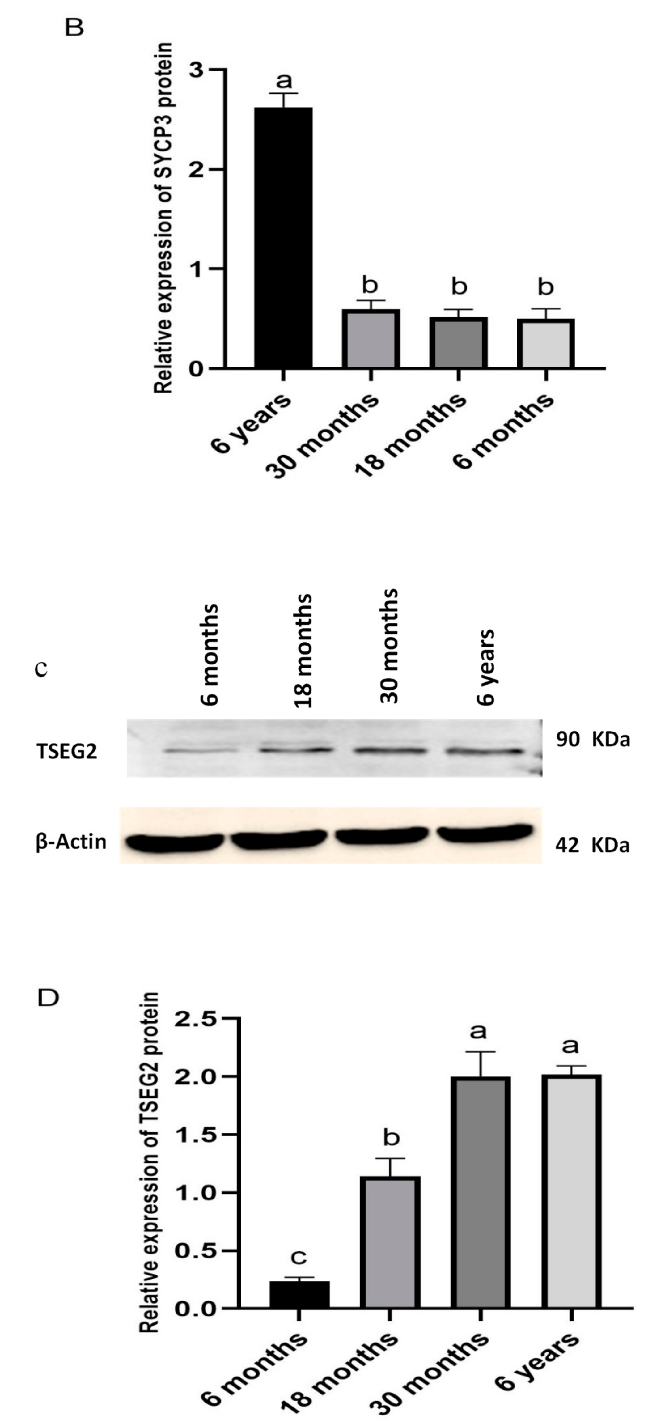 Genes 10 00867 g008b Genes 10 00867 g008b