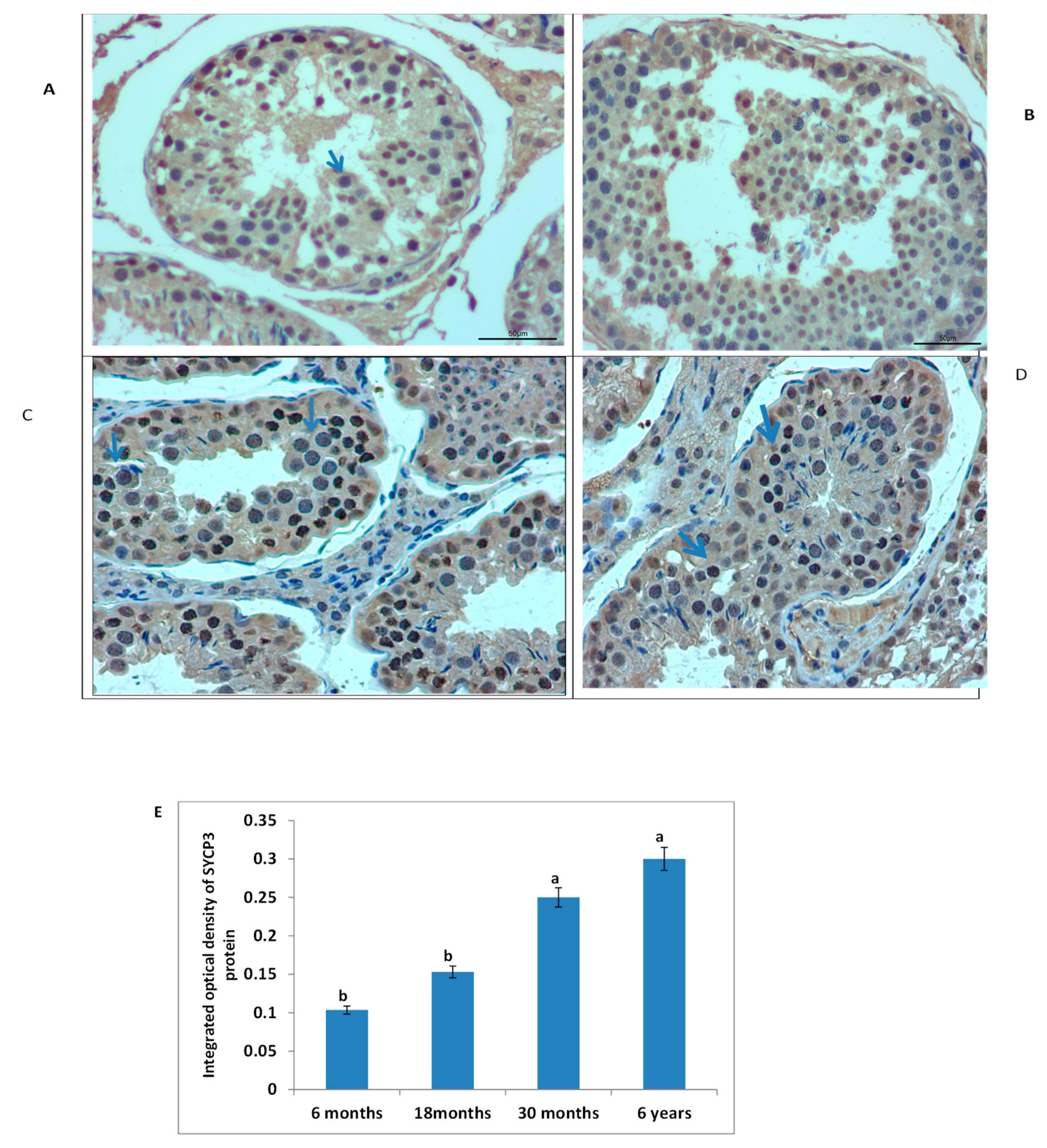 Genes 10 00867 g009 Genes 10 00867 g009