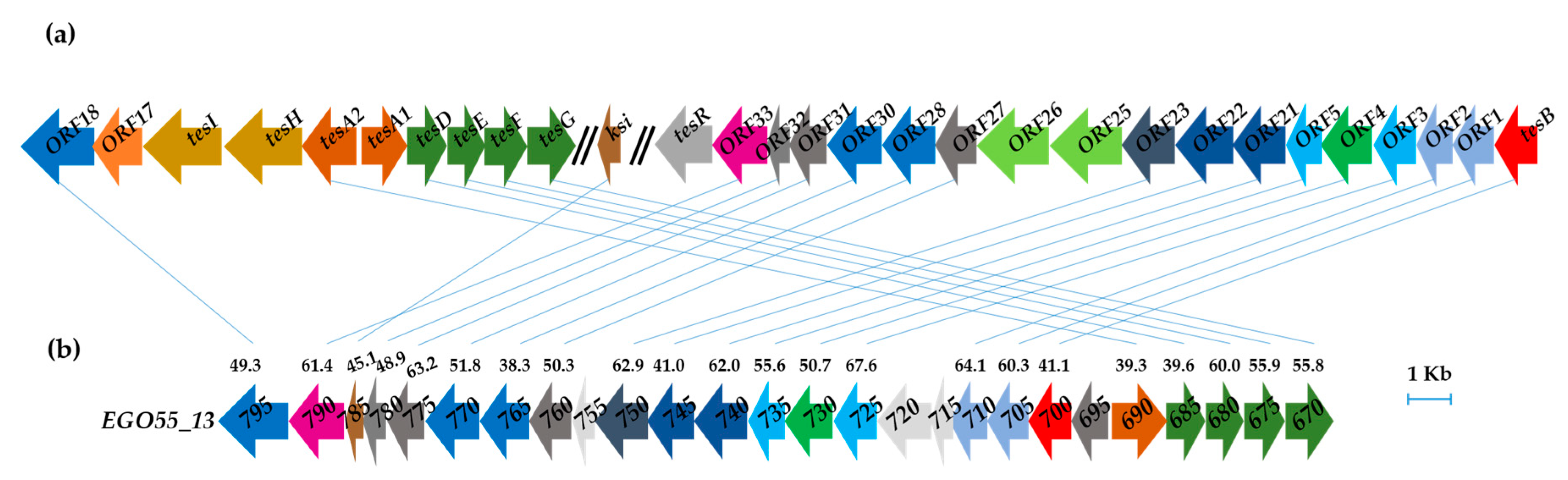 Genes 10 00871 g003 Genes 10 00871 g003