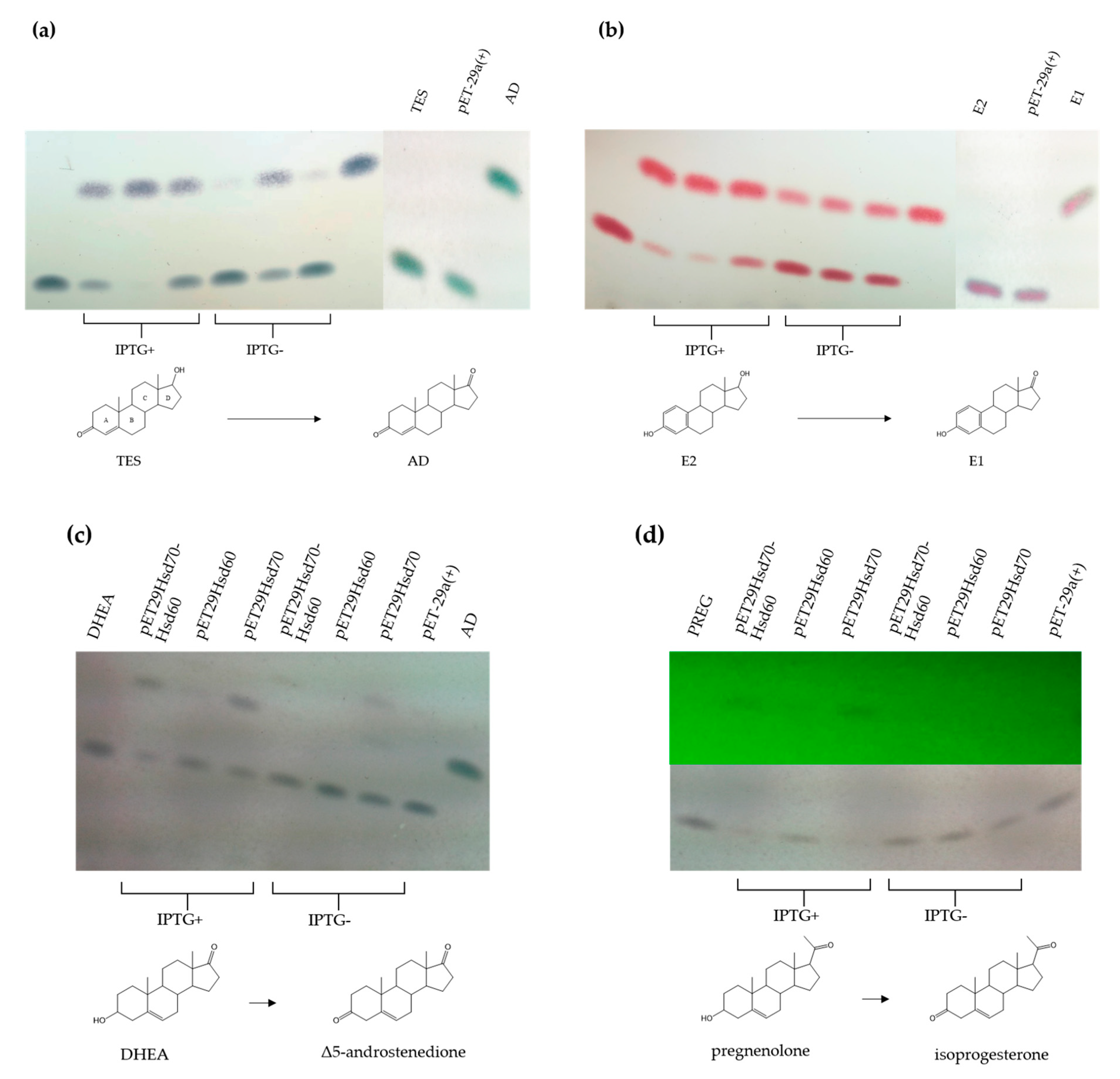 Genes 10 00871 g006 Genes 10 00871 g006
