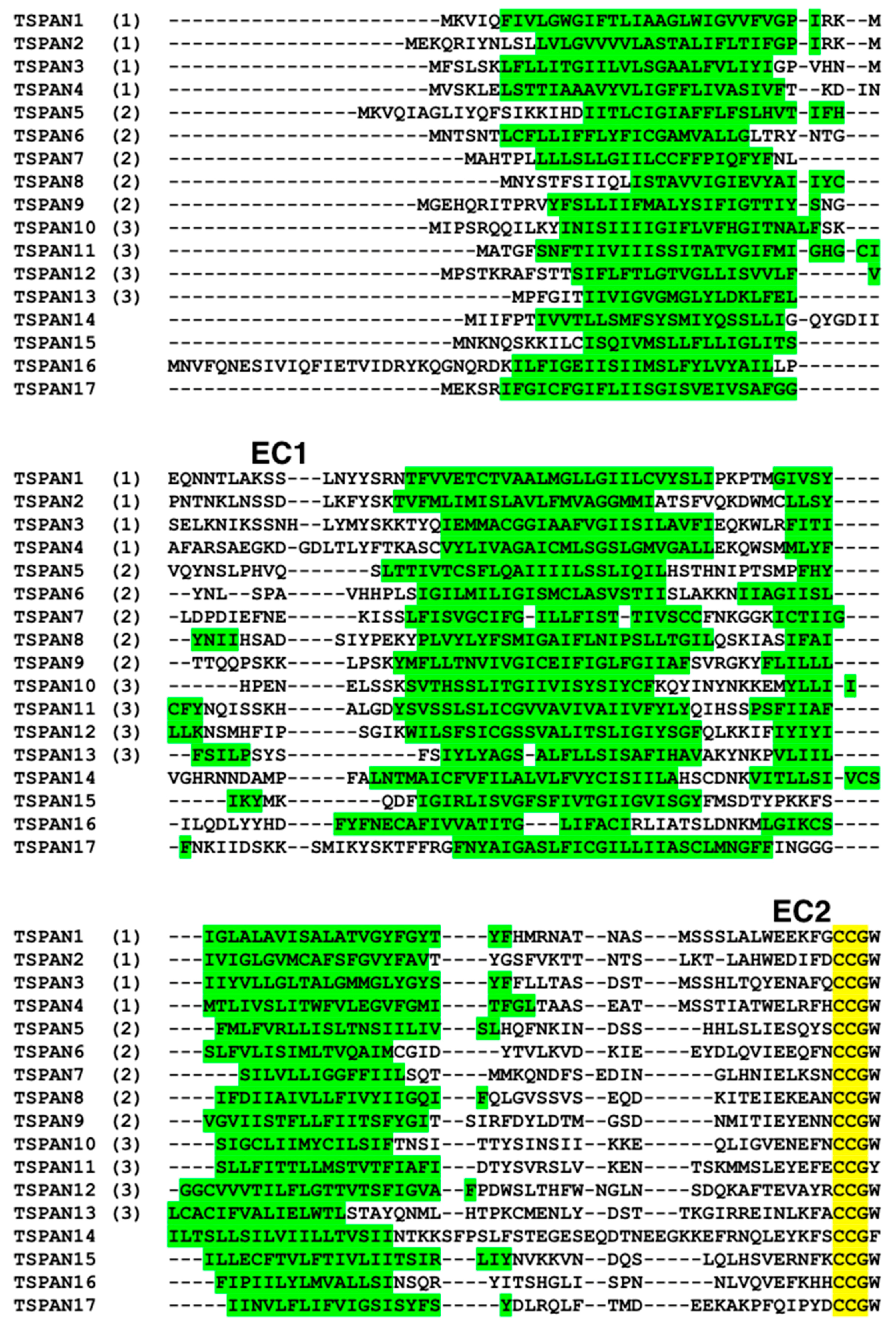 Genes 10 00885 g002a