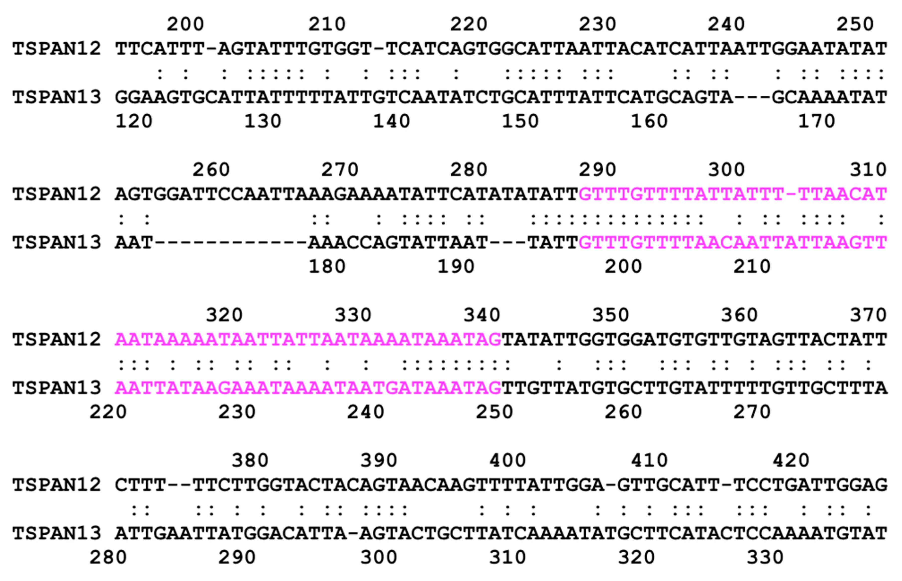 Genes 10 00885 g004