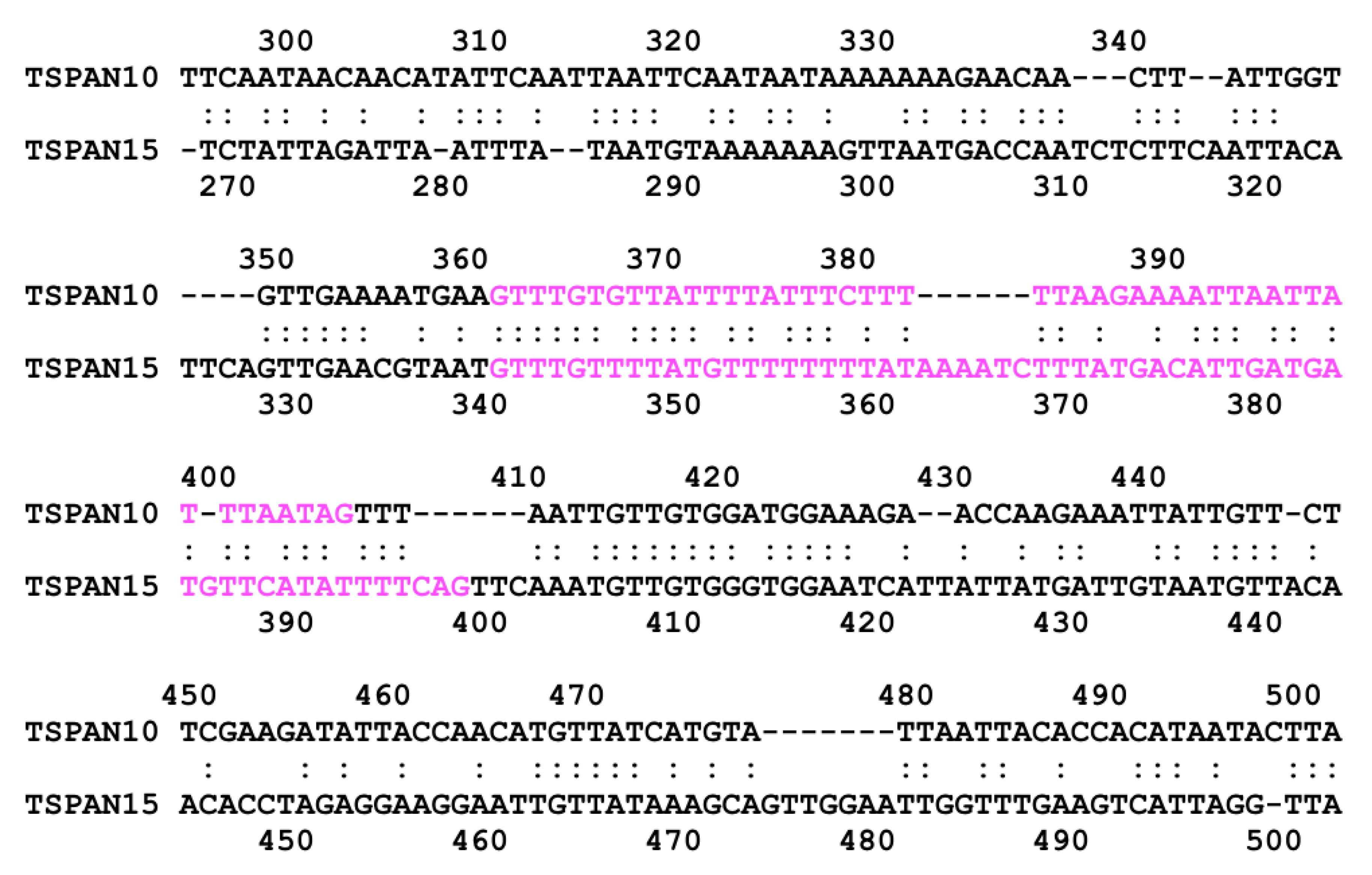 Genes 10 00885 g005