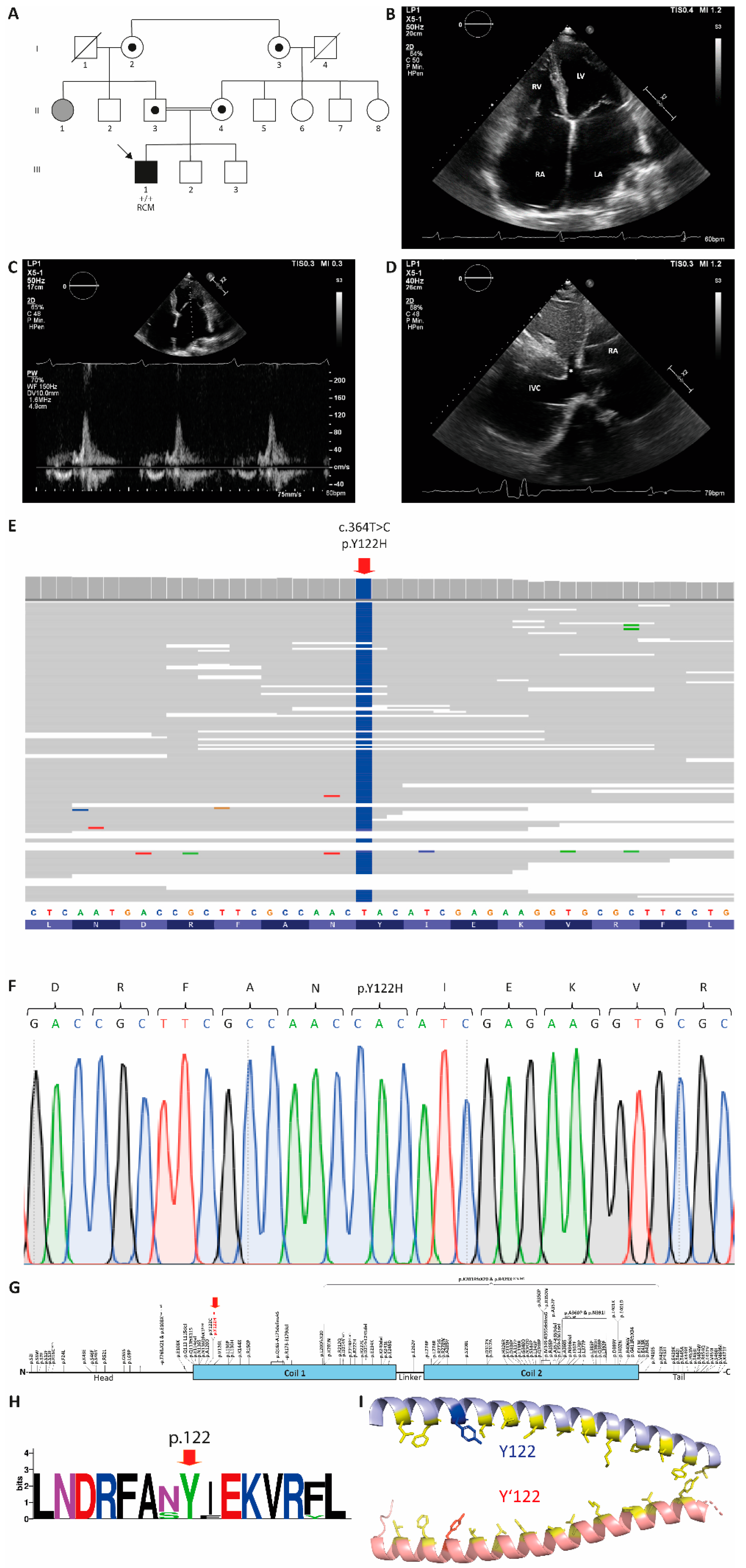 Genes 10 00918 g001