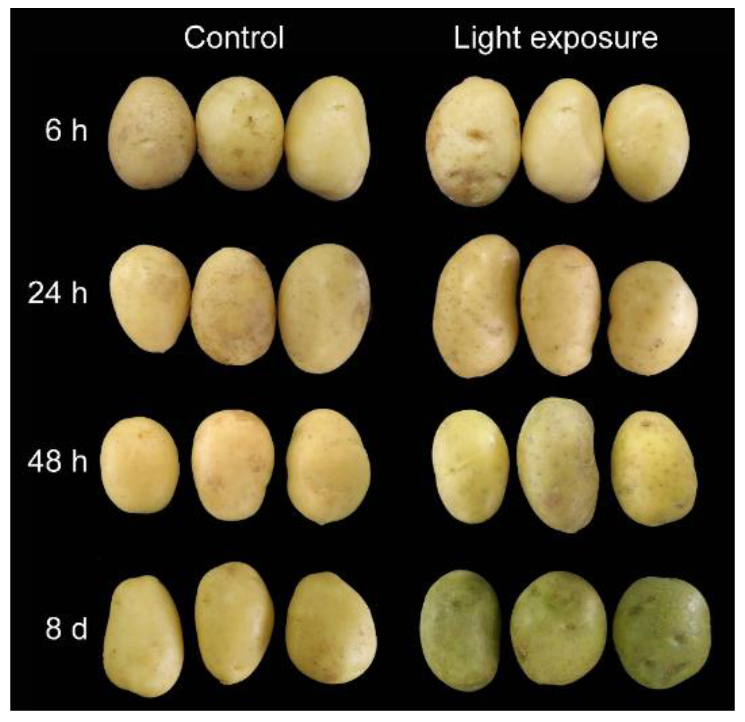 Genes 10 00920 g001 Genes 10 00920 g001