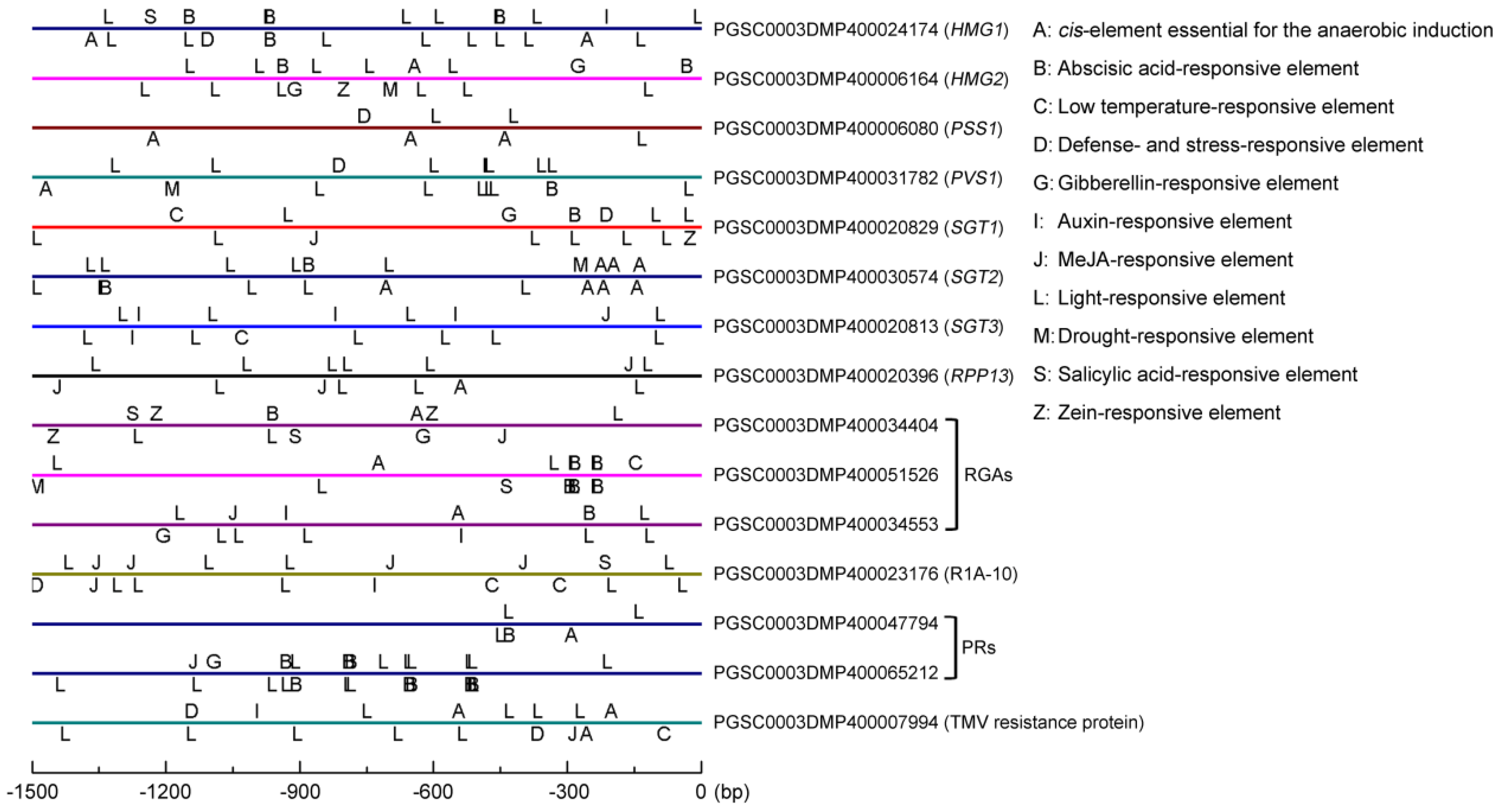 Genes 10 00920 g007 Genes 10 00920 g007