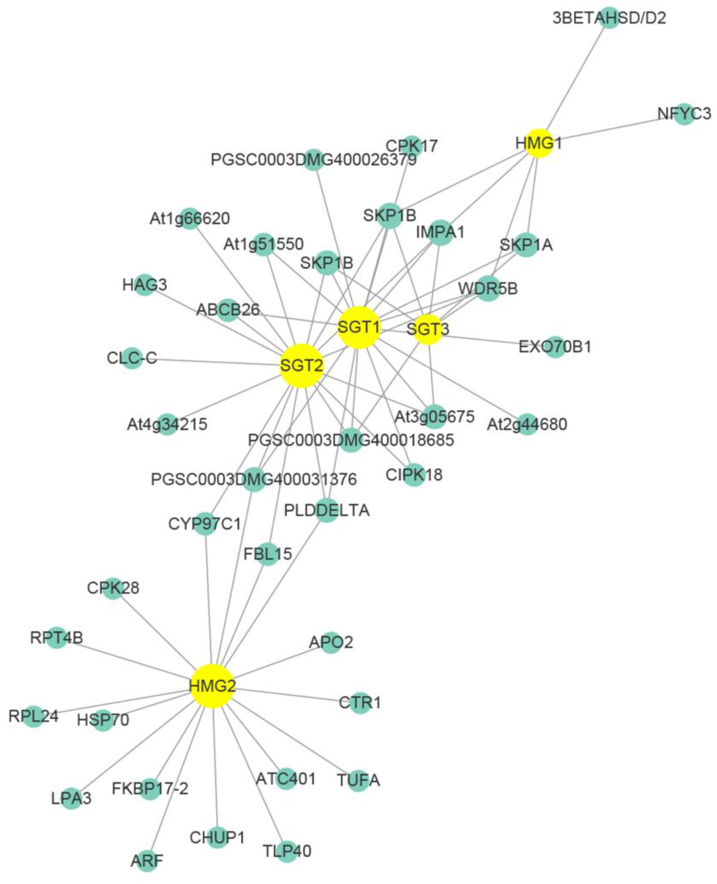Genes 10 00920 g009 Genes 10 00920 g009