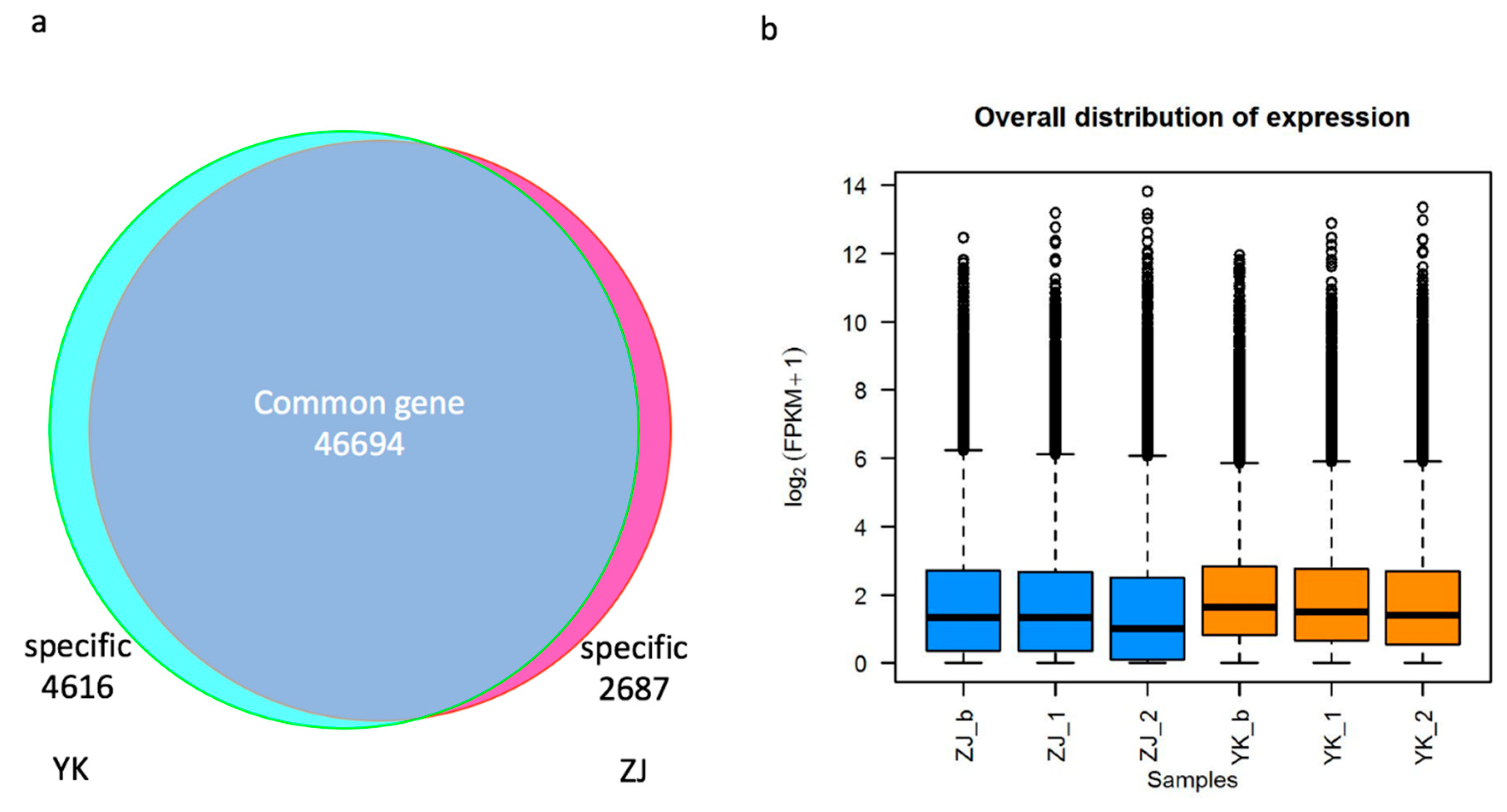Genes 10 00929 g003