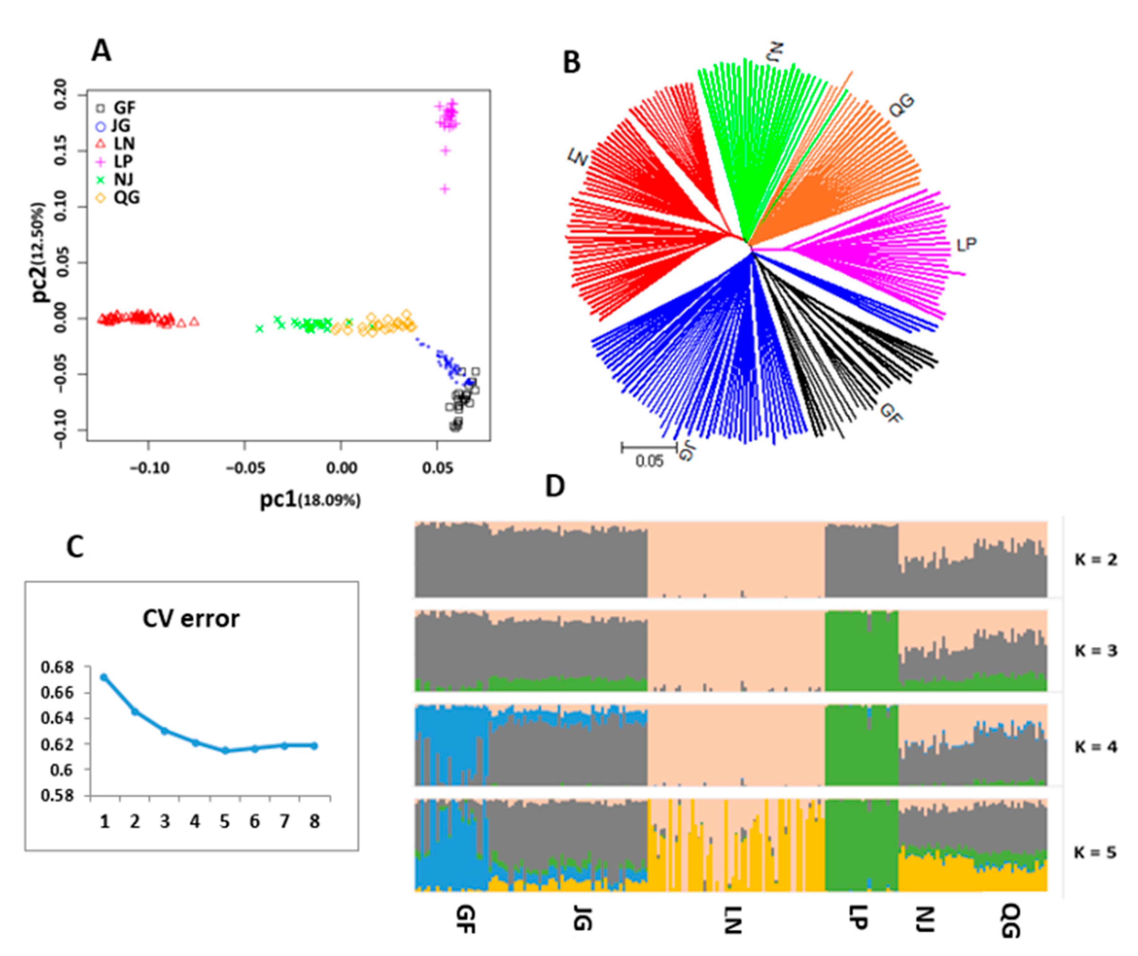 Genes 10 00938 g011