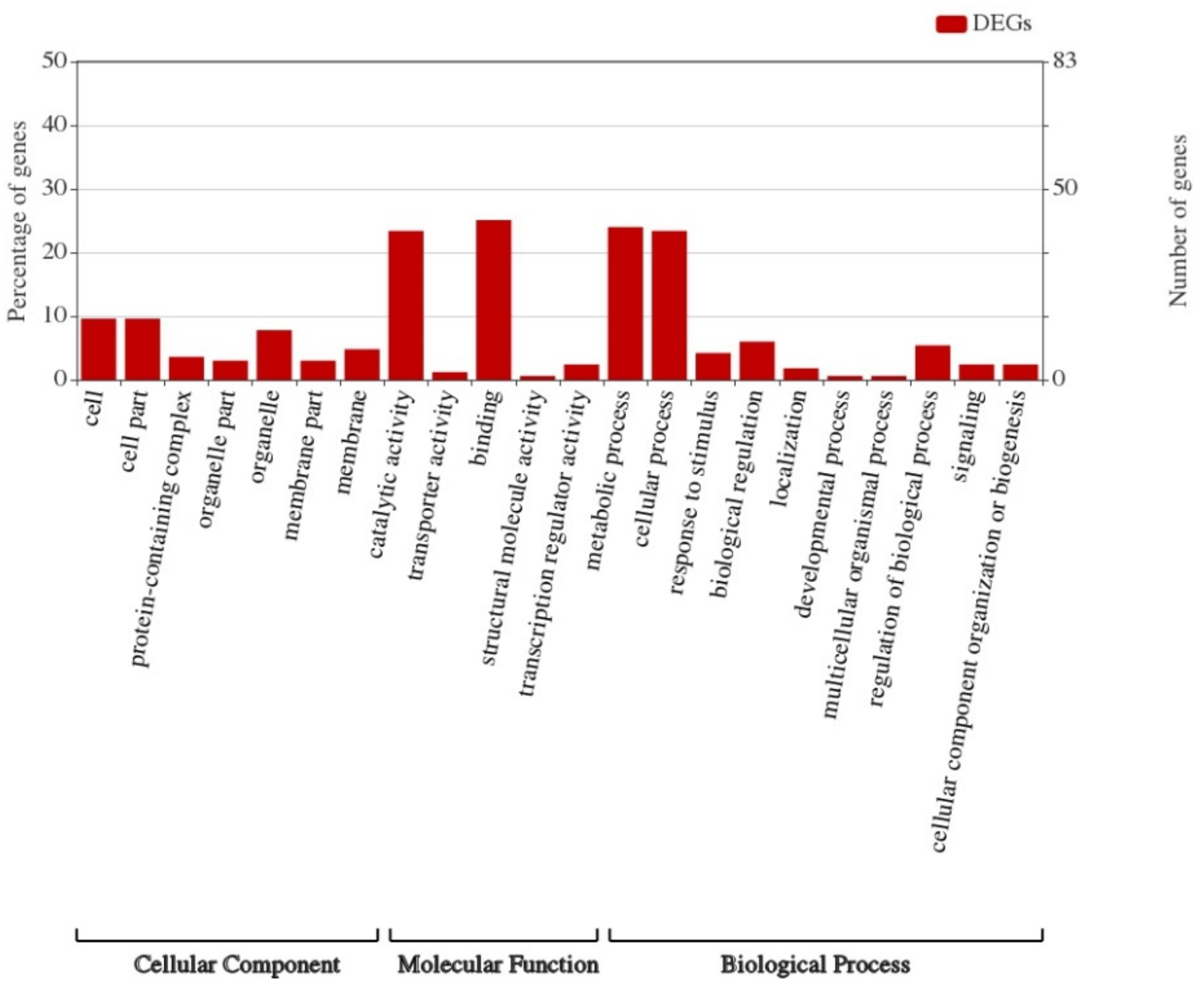 Genes 10 00943 g006